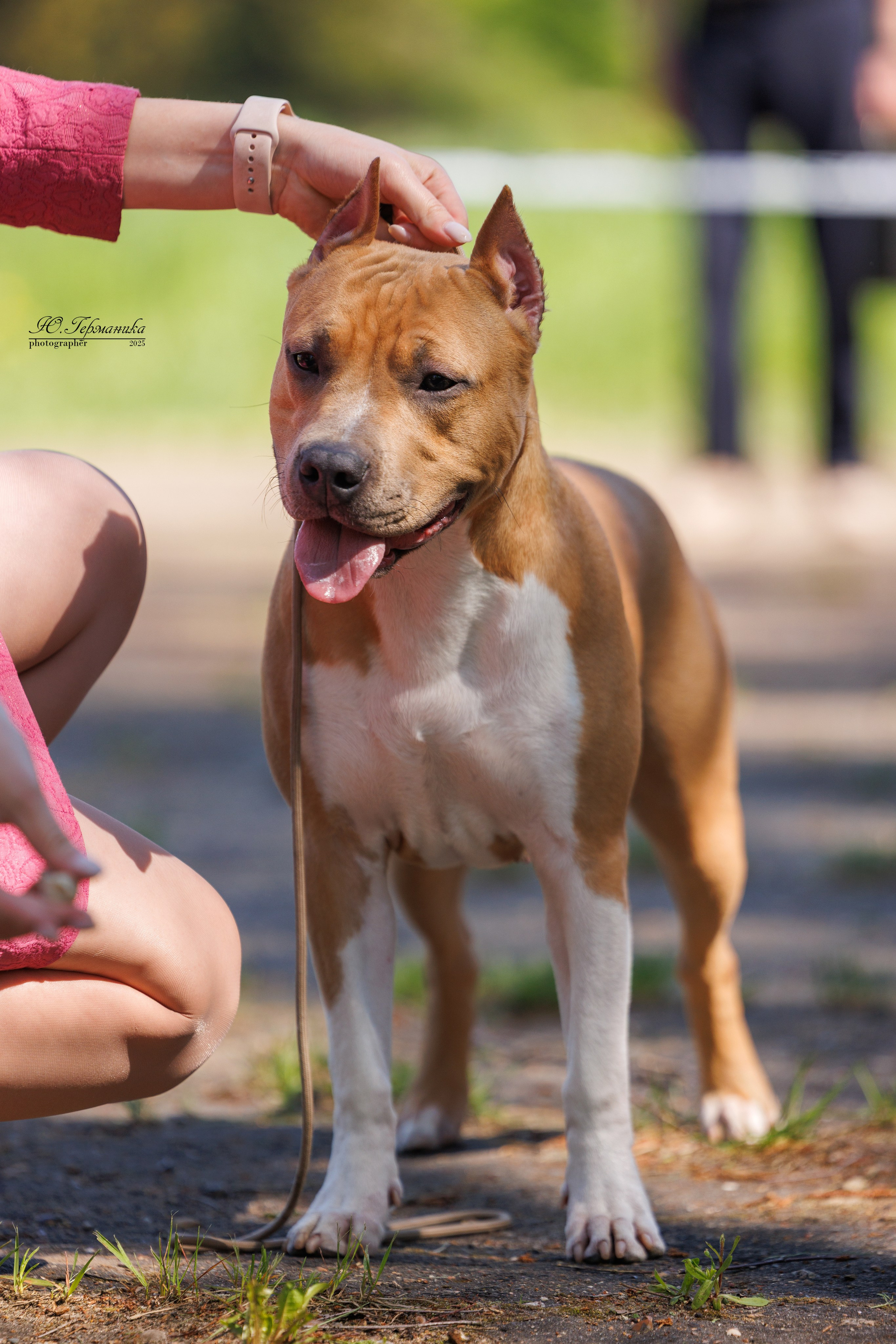 Тверь 24.05.2025. Фотограф-анималист Юлия Германика
