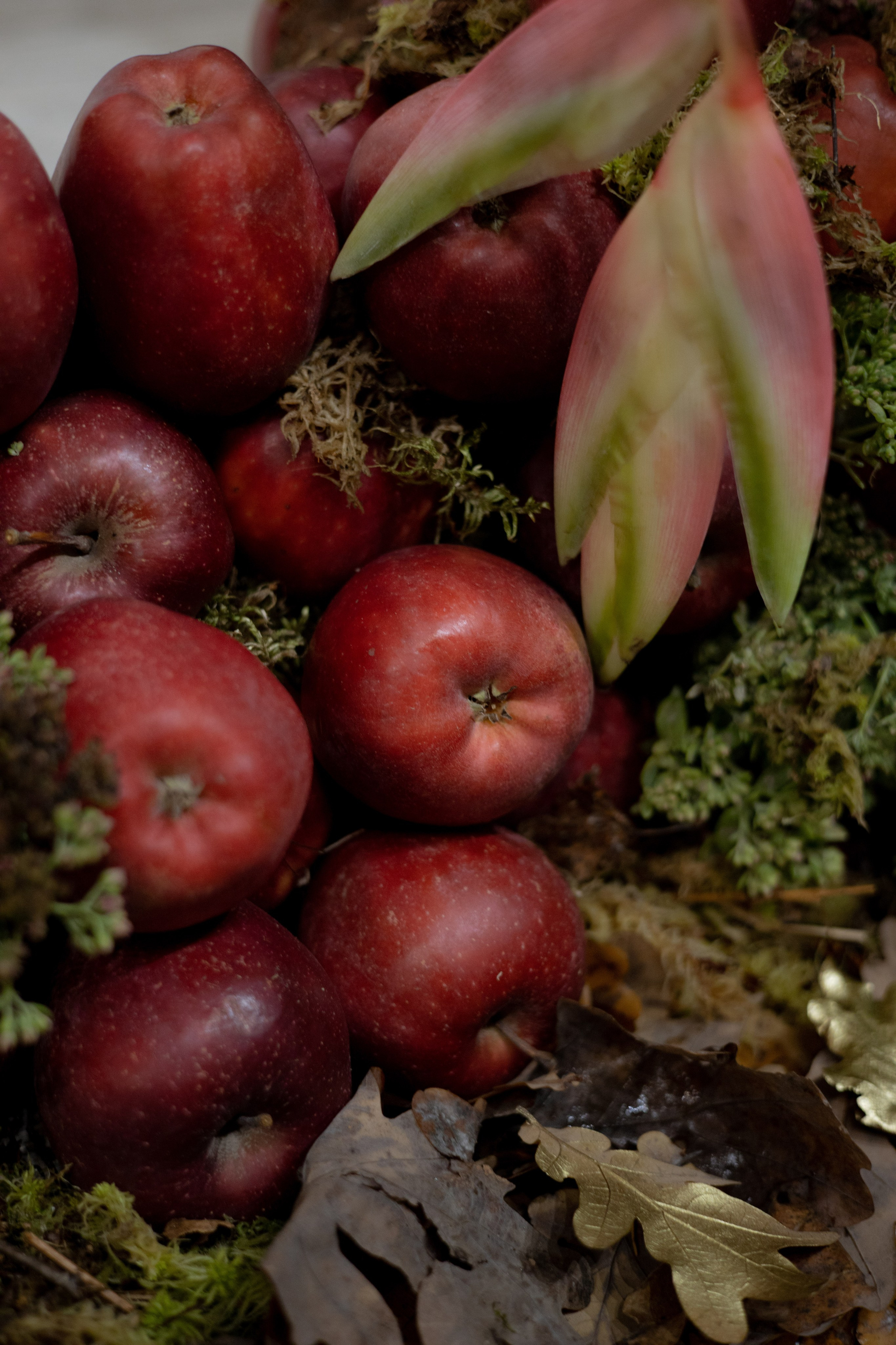 Оформление IX Международного конкурса пианистов имени Д. Д. Шостаковича. Оформление свадеб, декор свадеб Вера Маркова, Москва