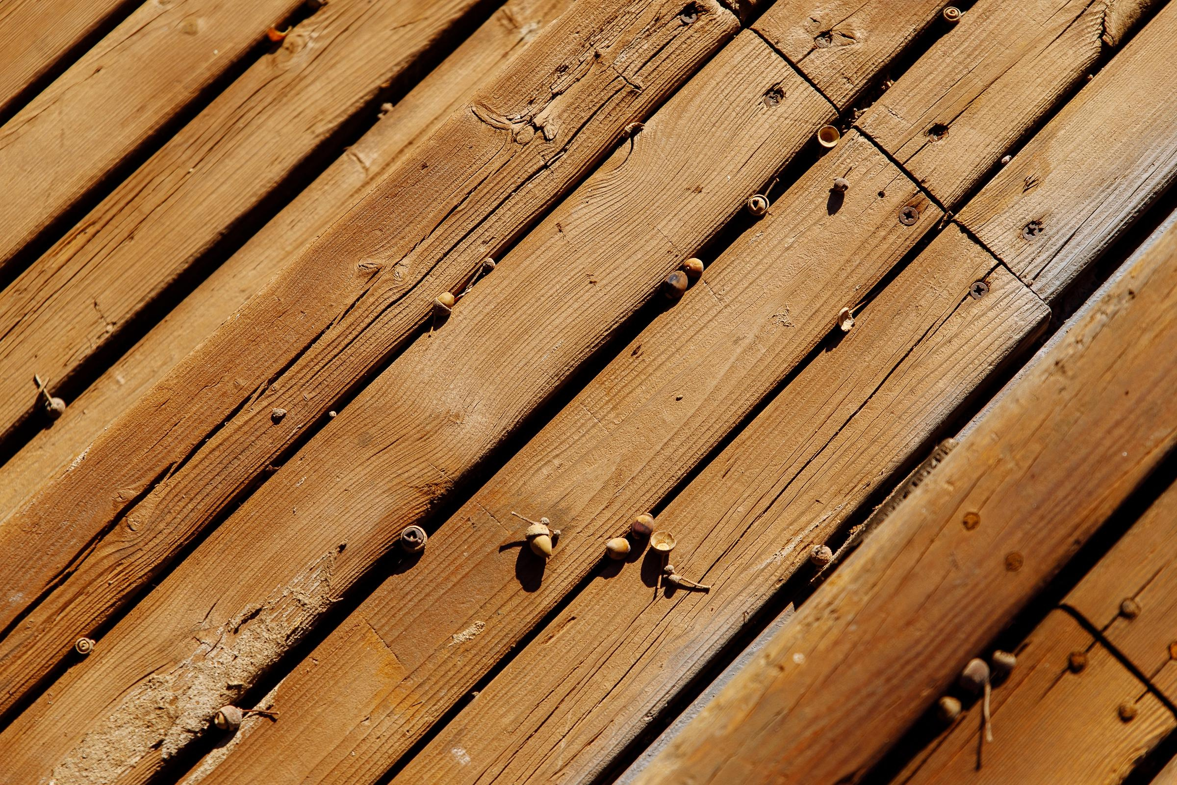 Свадьба Ксюши и Саши. Свадебный фотограф в Самаре и Тольятти Полина Никитина