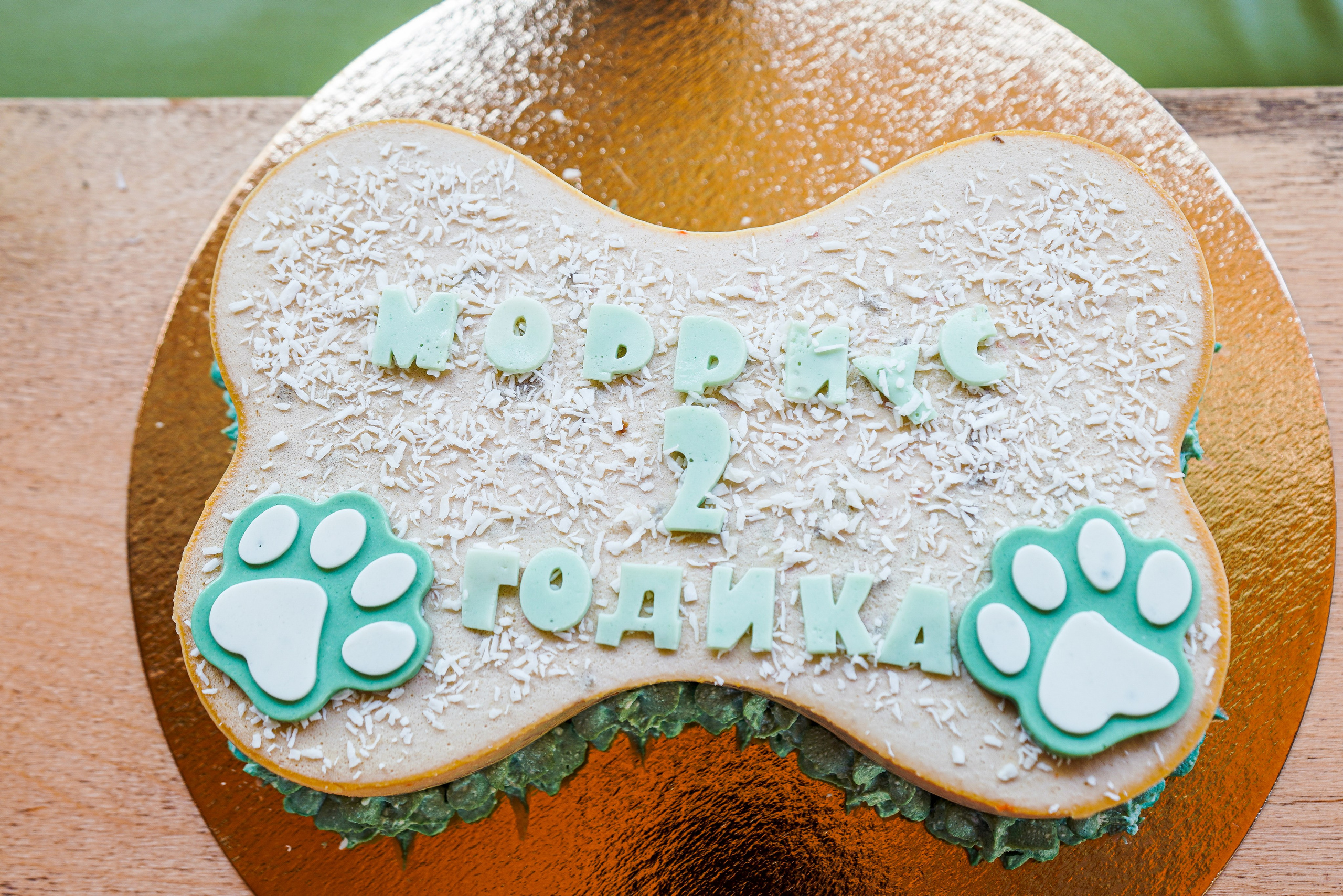 ДР собаки по имени Моррис :). Фотограф Казань