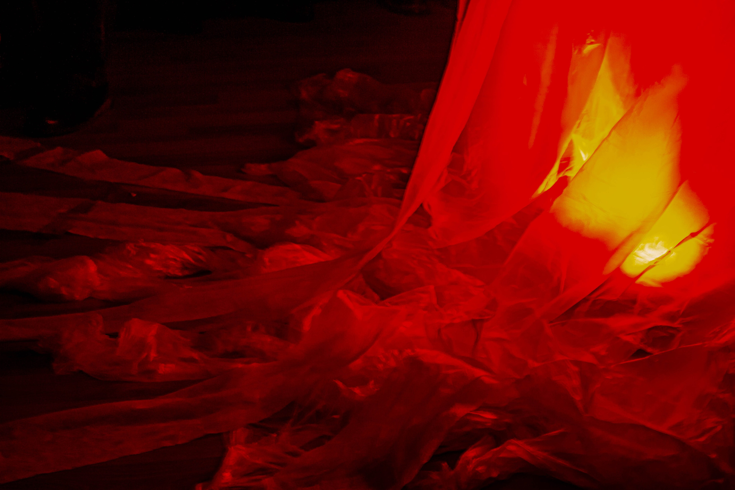 НЕ ТЕМНО_ЛИЦЕЙ им. С. П. ДЯГИЛЕВА 2025