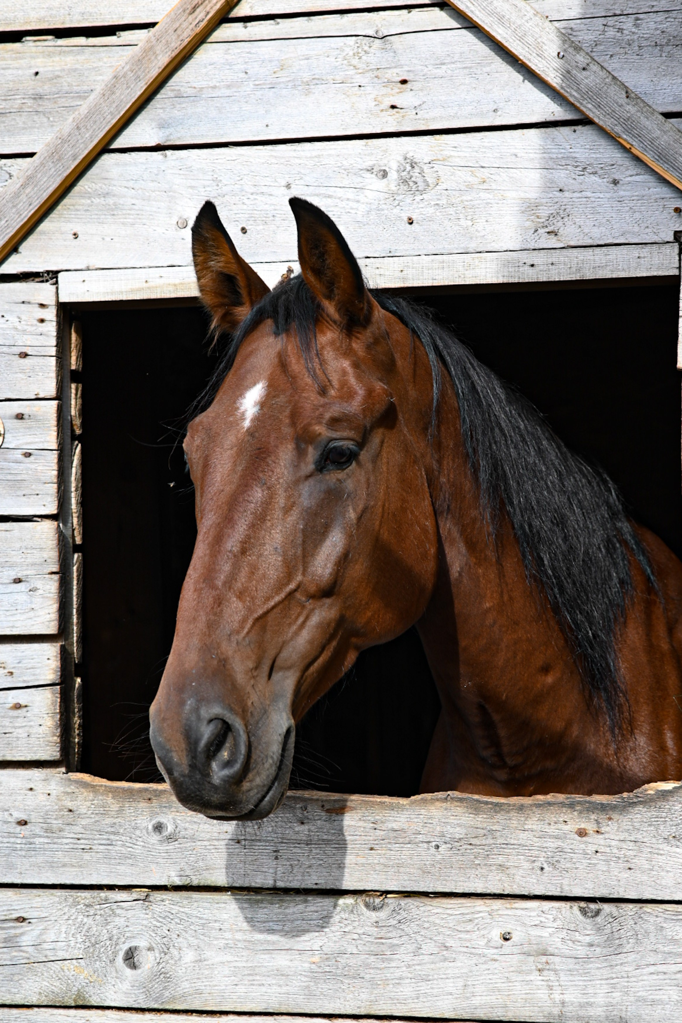LifeStyle фотограф Анна Воробьёва Санкт-Петербург