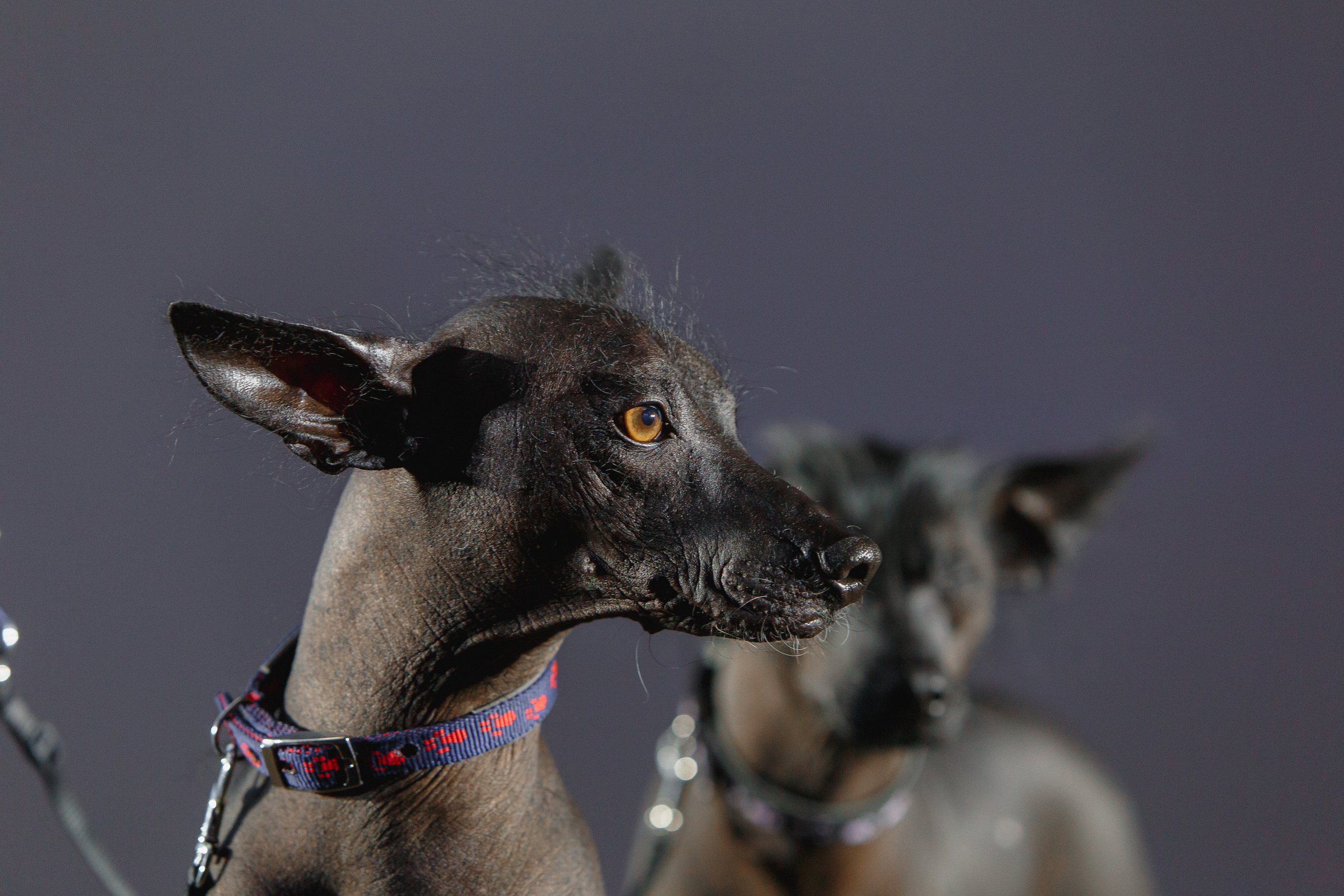 Первая конференция по Маркетплейсам MP CONF 2021