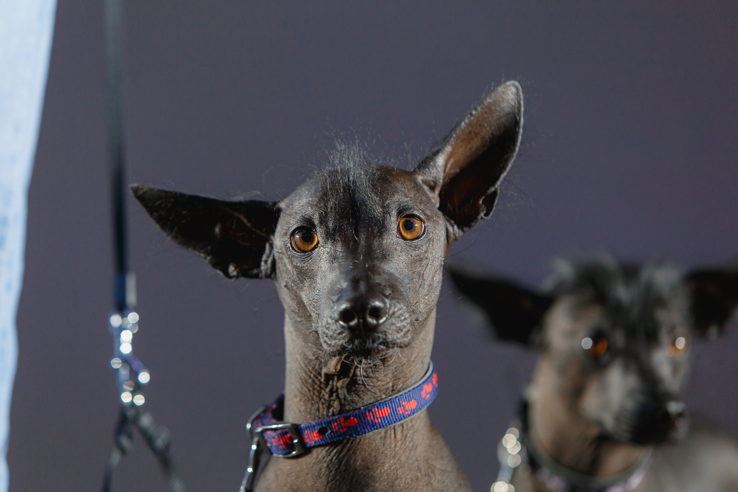 Первая конференция по Маркетплейсам MP CONF 2021