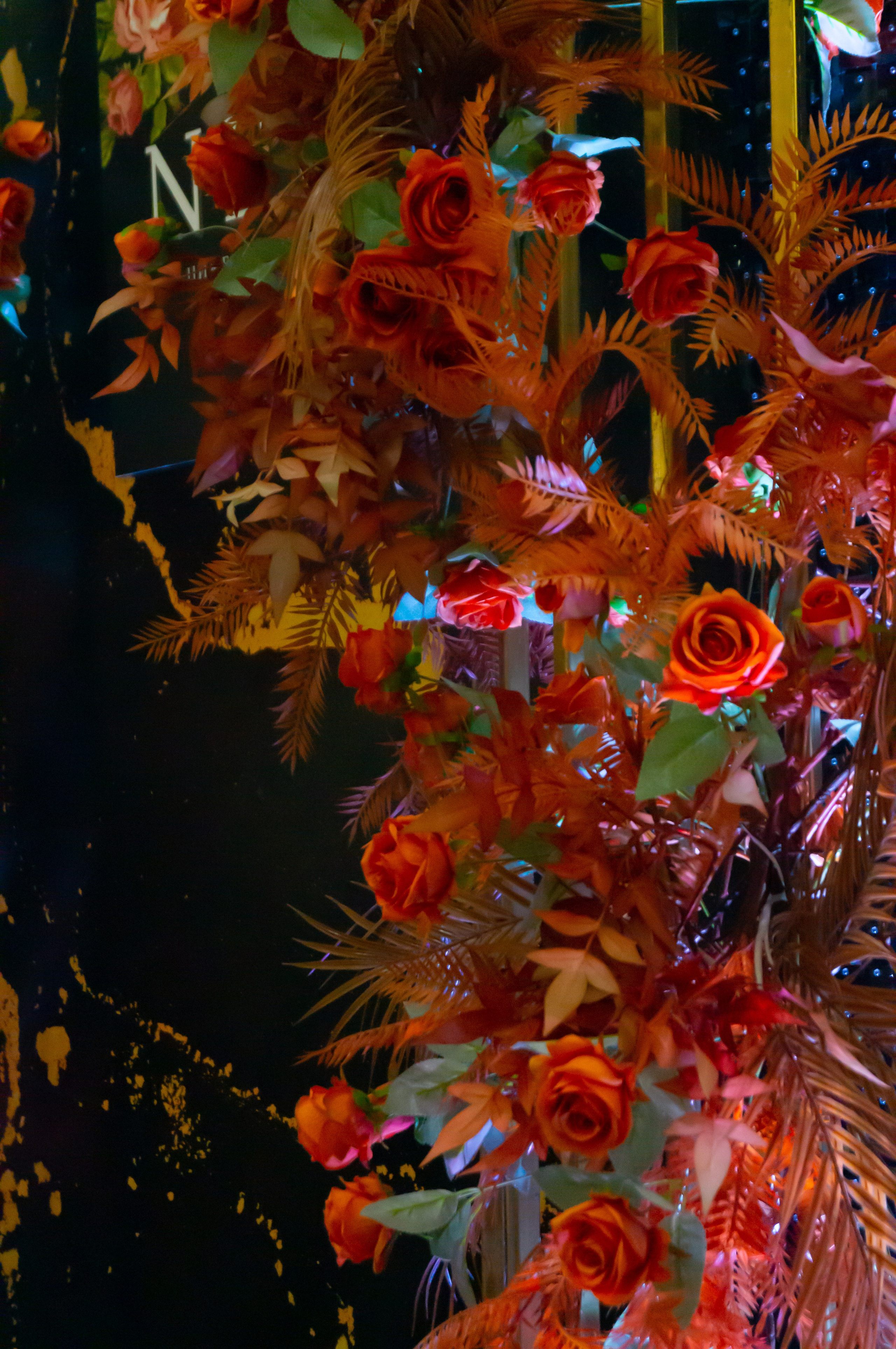 Нижегородская ярмарка 26.11. Фотограф в Нижнем Новгороде