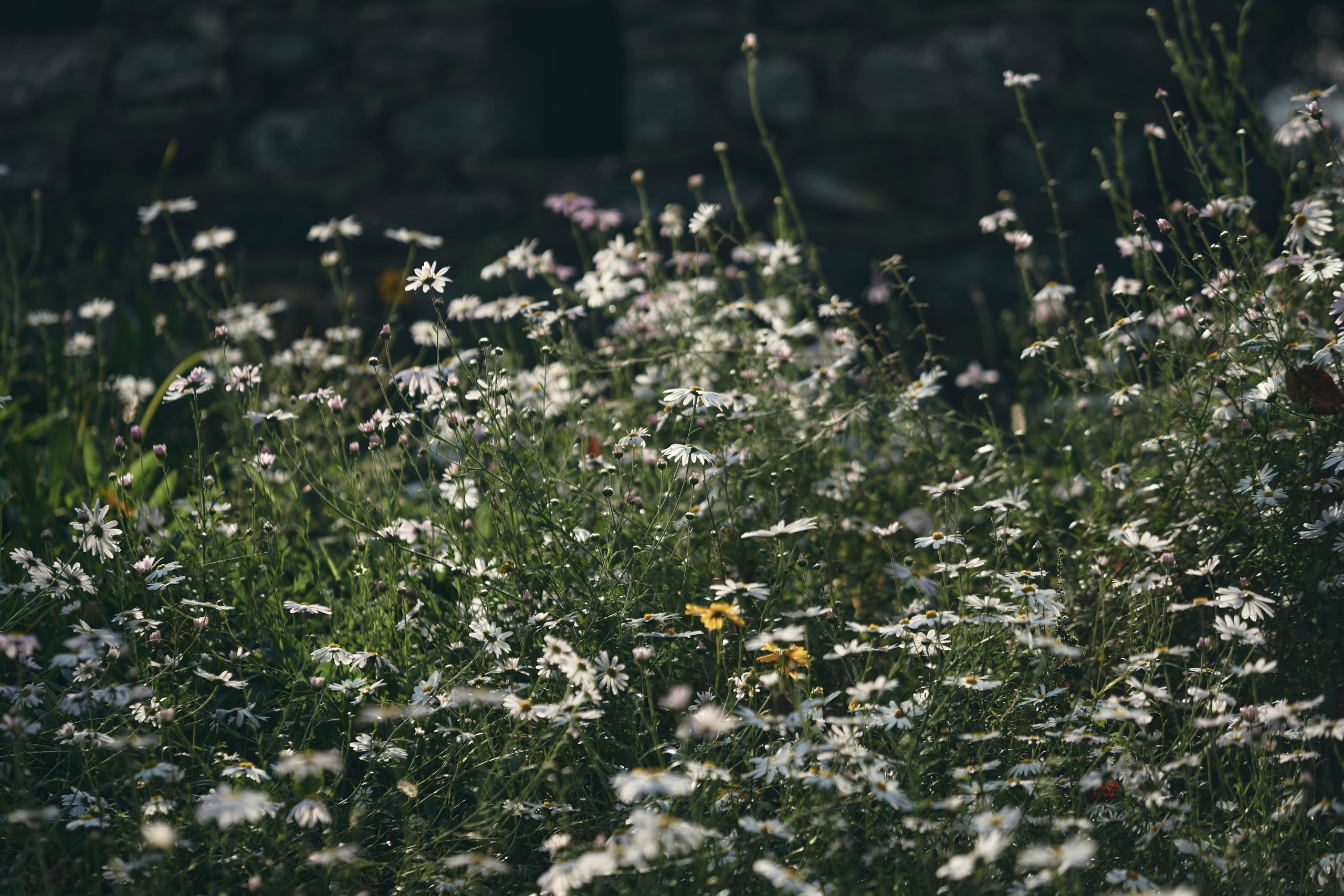 TRAVEL. Фотограф Наталья Леонова