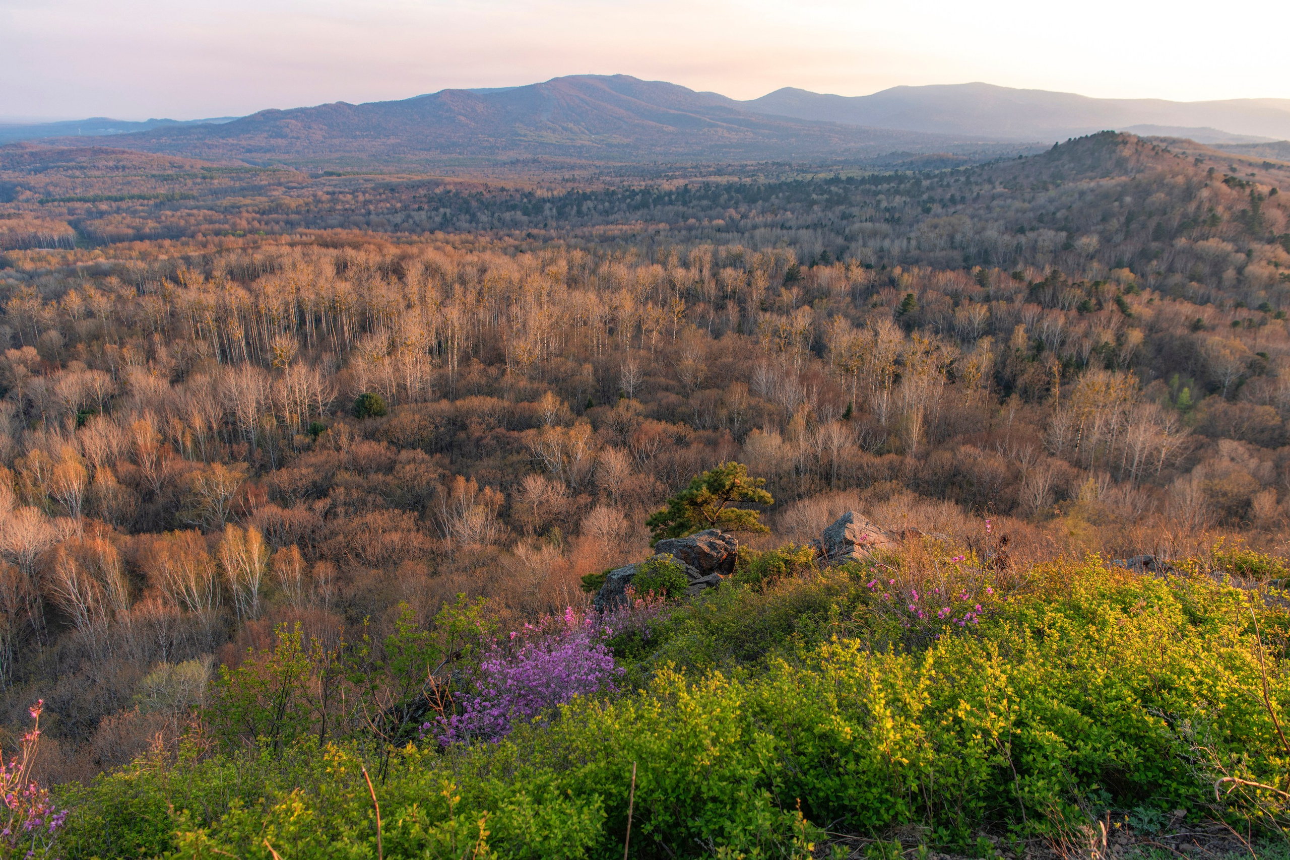 Природа Хабаровского края. Команда фотографов Кристины Ивановой