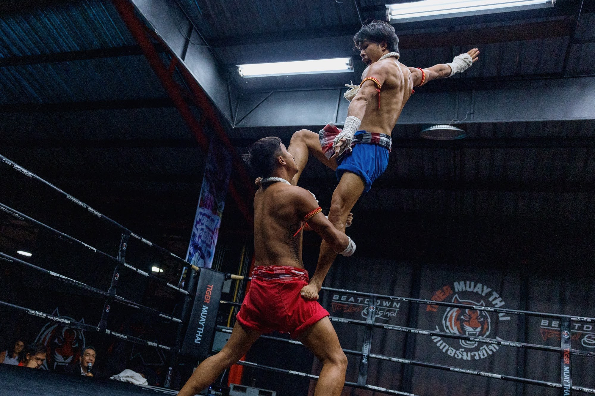 тайский бокс муай тай