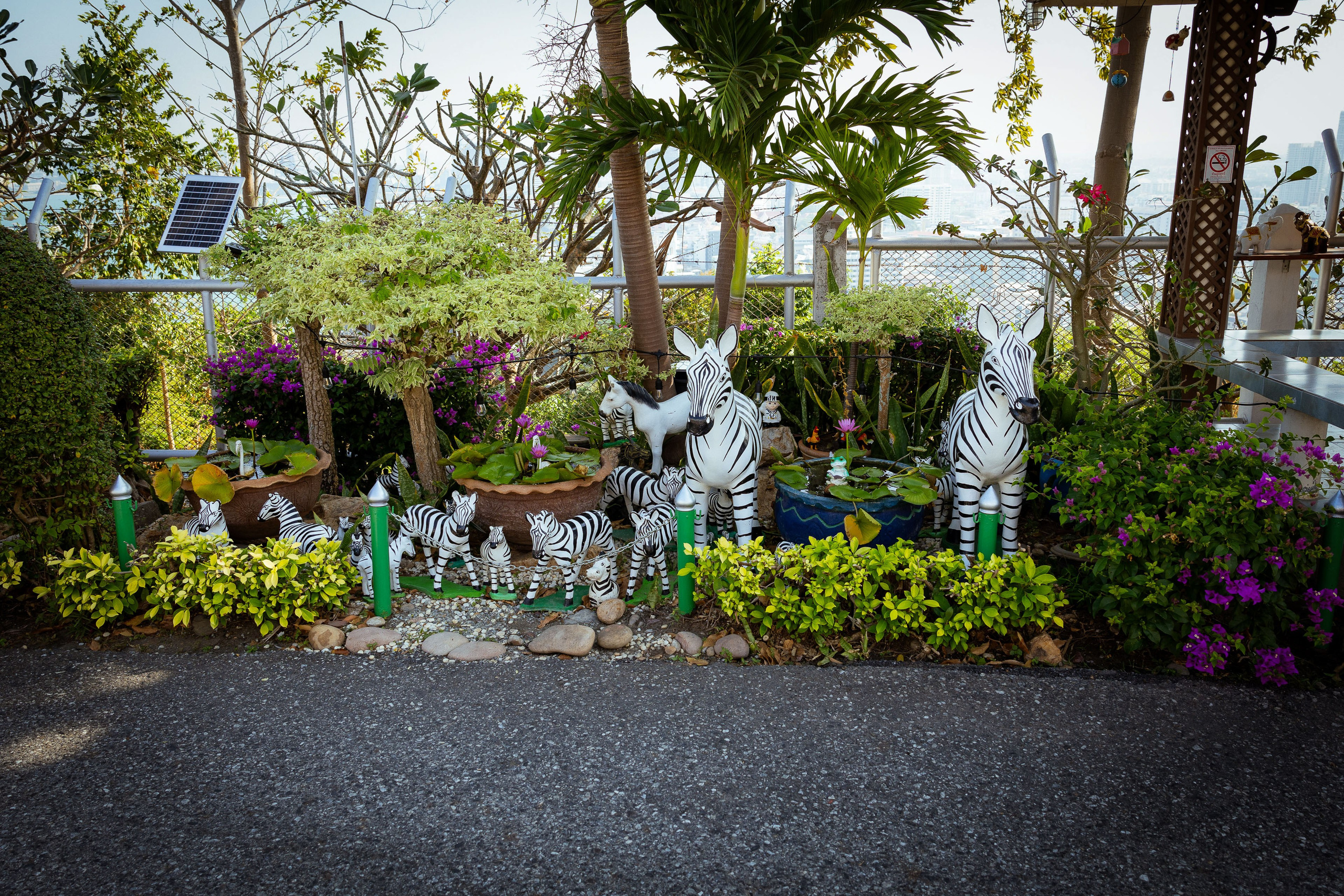 Таиланд (зима 2025). Фотограф Виноградов Константин