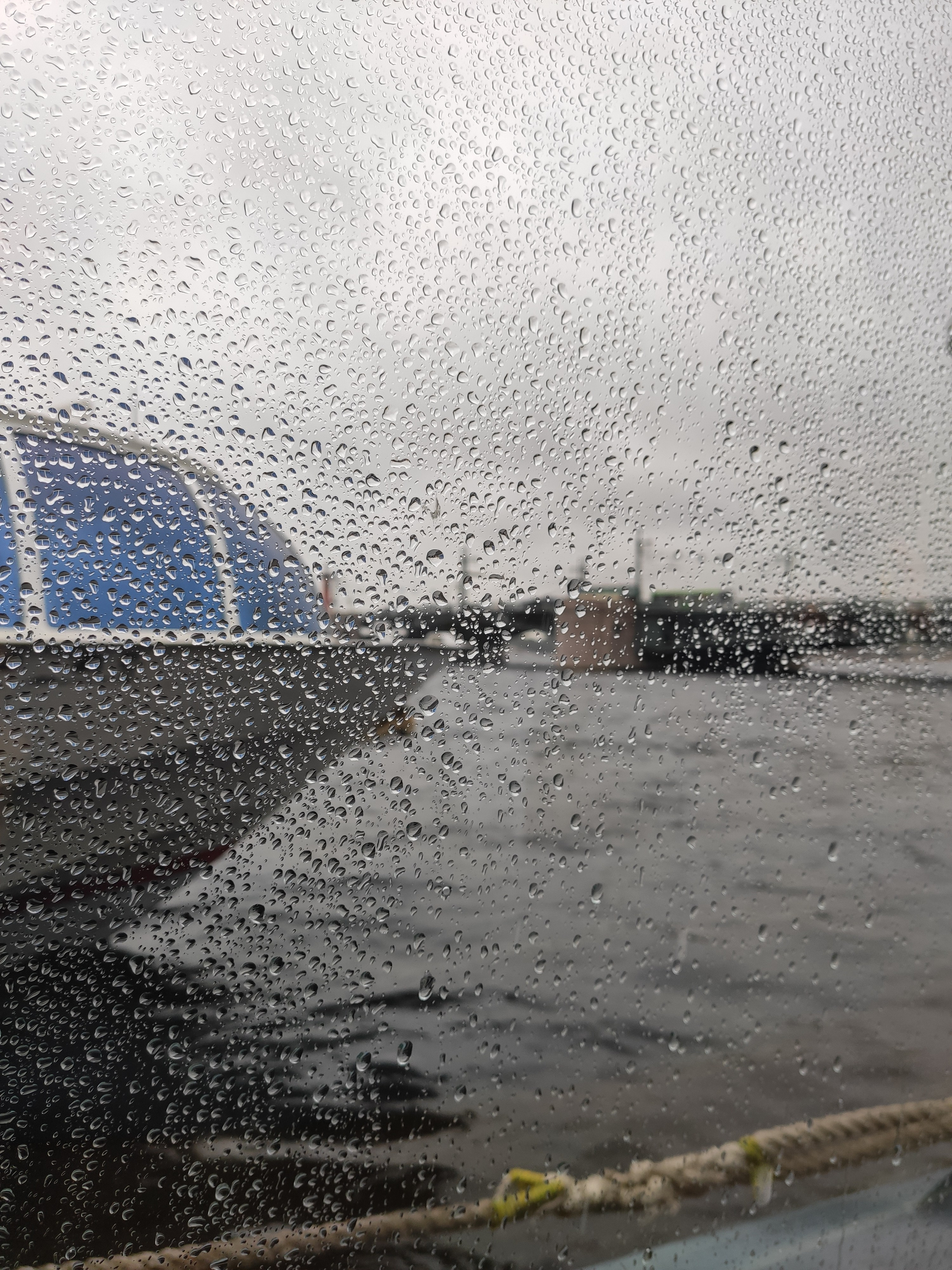 На следующий день прятались от дождика на кораблике. Отличный способ погулять, посмотреть, отдохнуть и не намокнуть