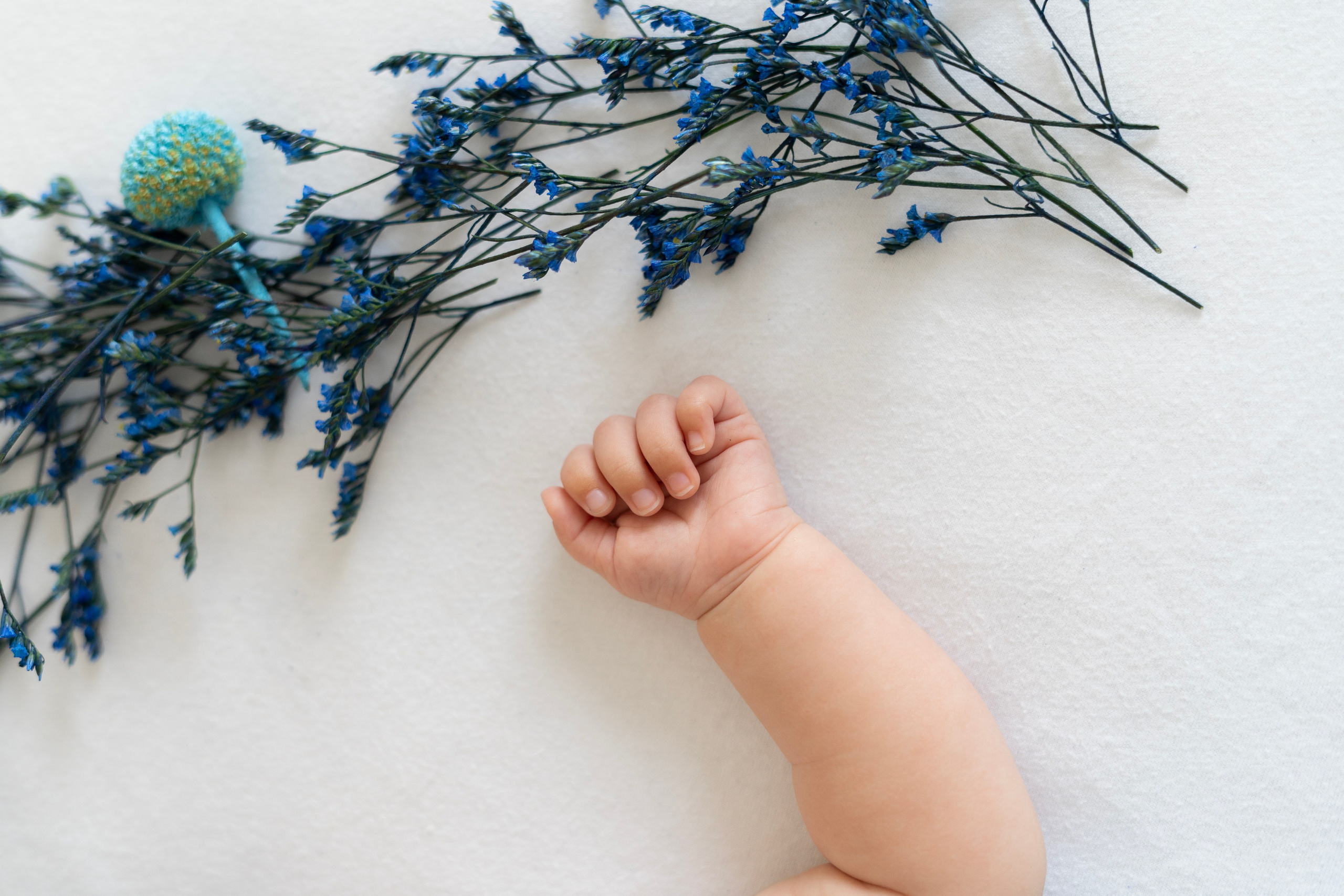 АНГЕЛОЧЕК МИЛАНОЧКА. Фотограф Москва Екатерина Бондаренко