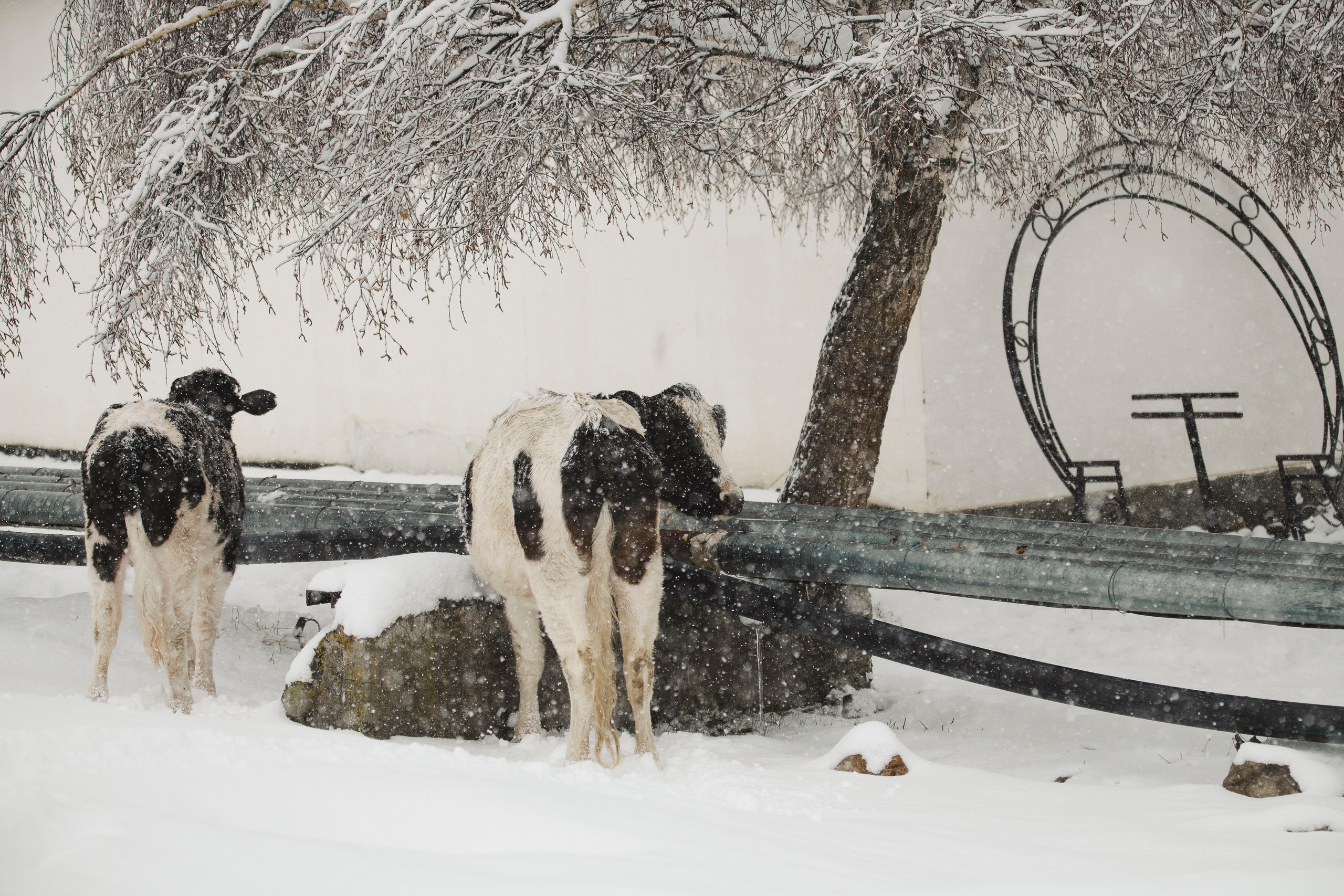 Цветные фотографии. Фотографии Лены Соколовой