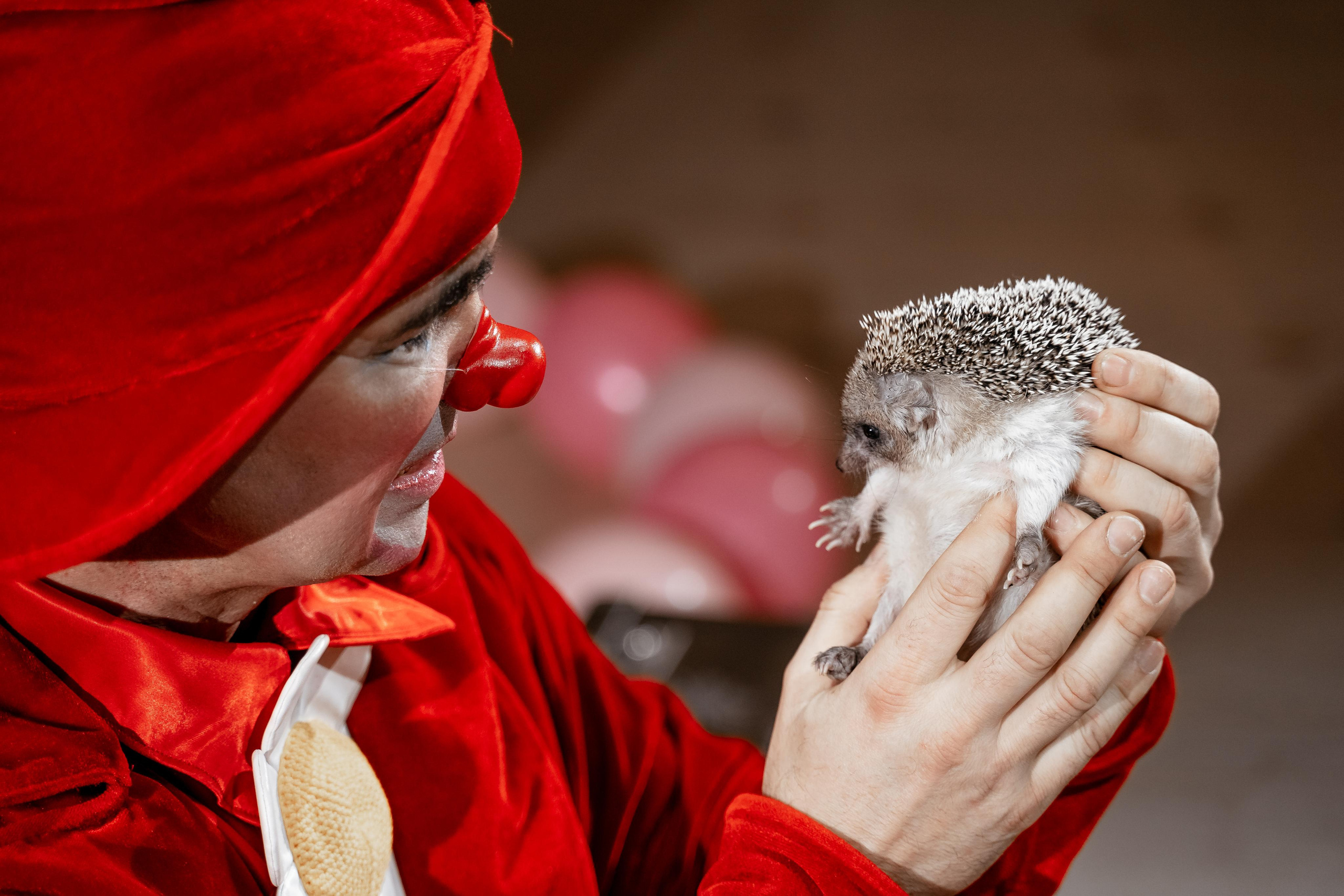 Софьюшке 5 лет. Репотражный и семейный фотограф в Москве Герлинг Радмила