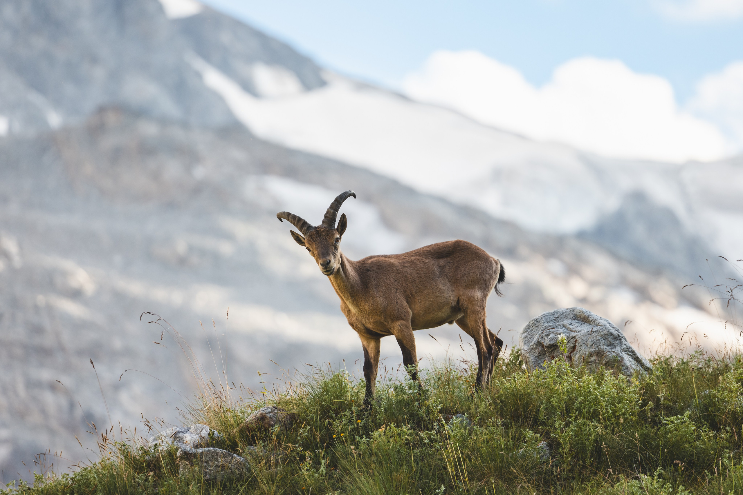 Природа. Репортажный фотограф. Из России с любовью