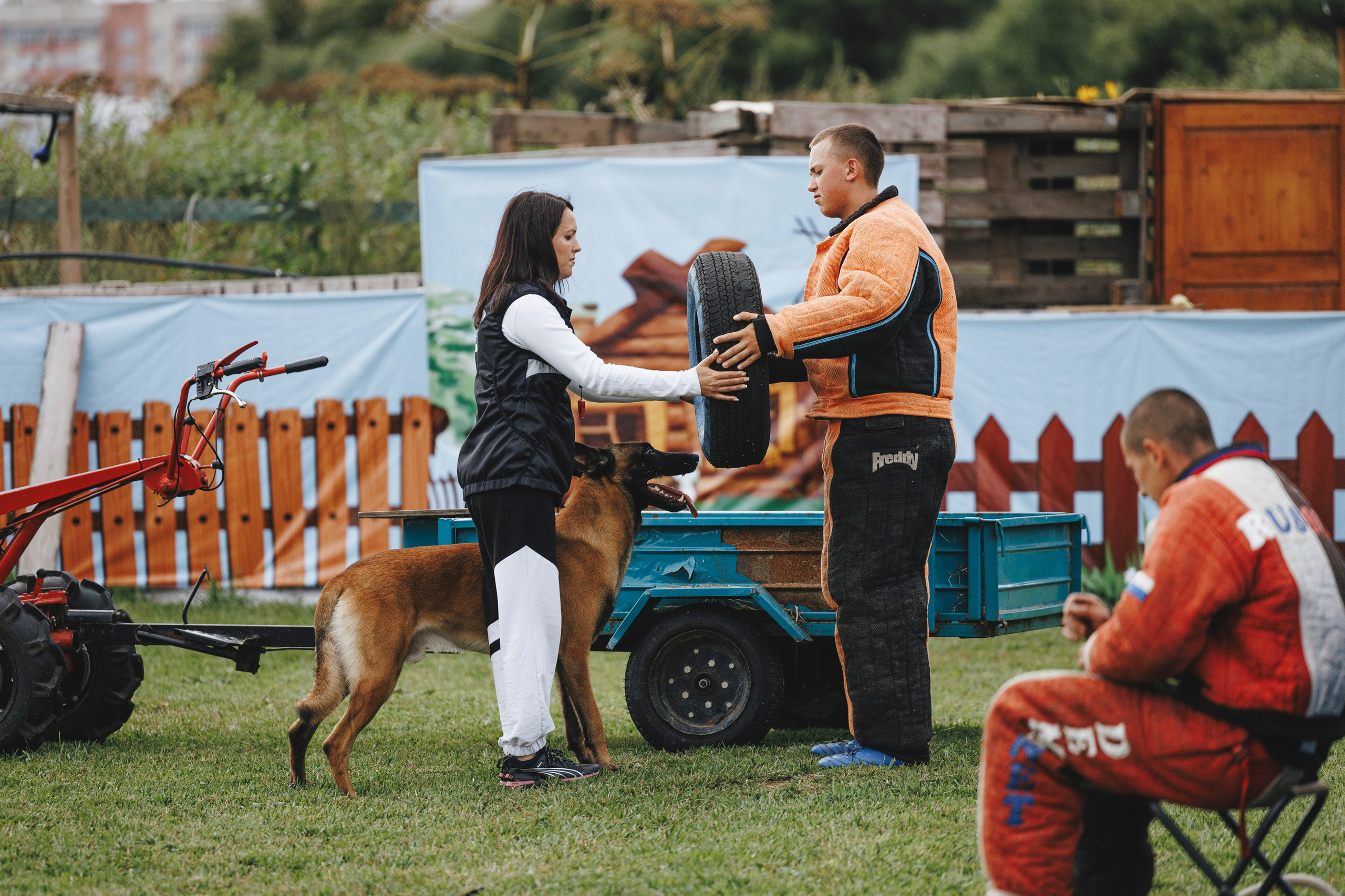08.08.25-10.08.25 ЧР по мондьорингу г. Вологда. Фотограф-анималист Анна Маринич