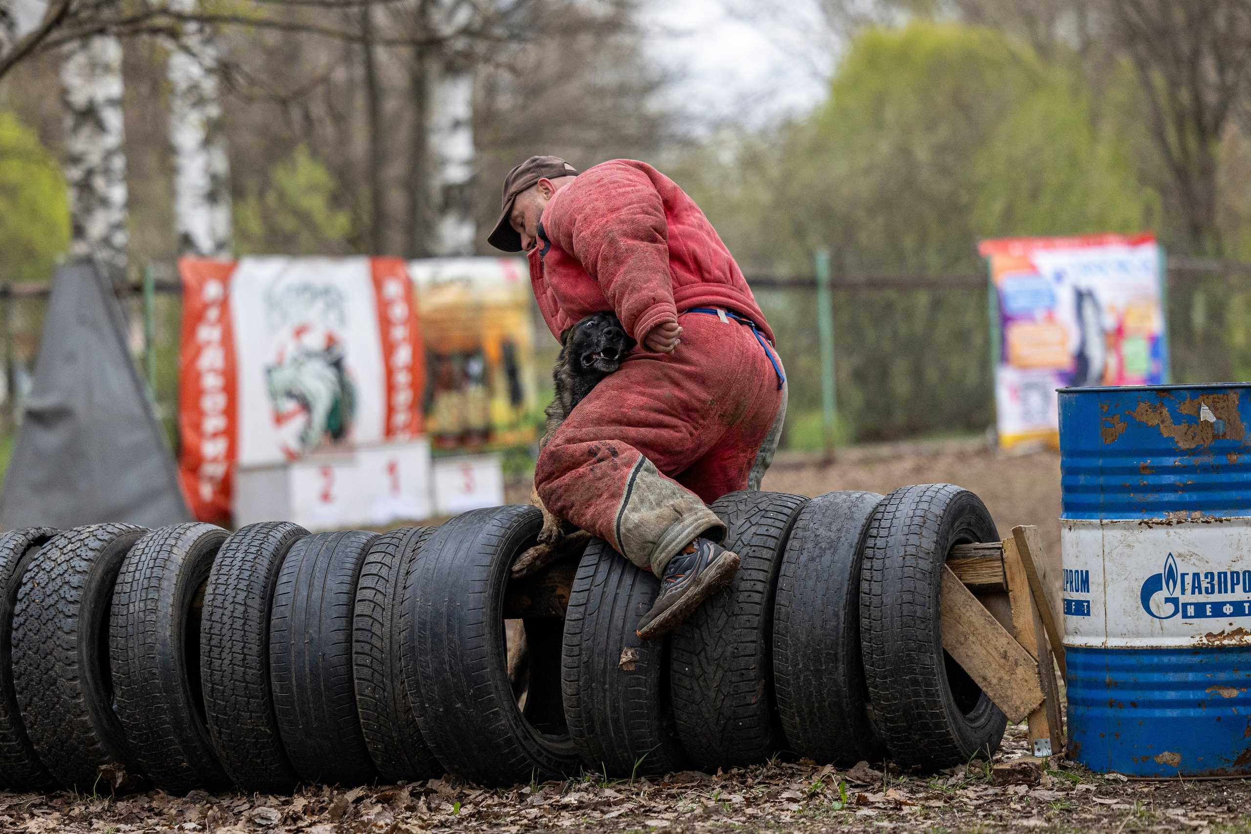 Квалификационные состязания по мондьорингу г. Вологда 11.05.24. Фотограф-анималист Анна Маринич