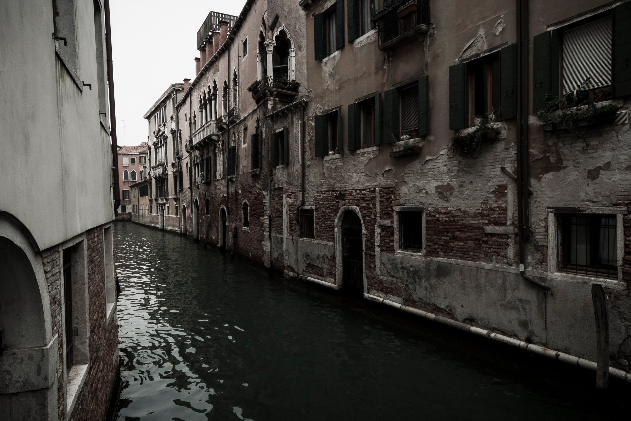 ВЕНЕЦИЯ. Портфолио фотографа