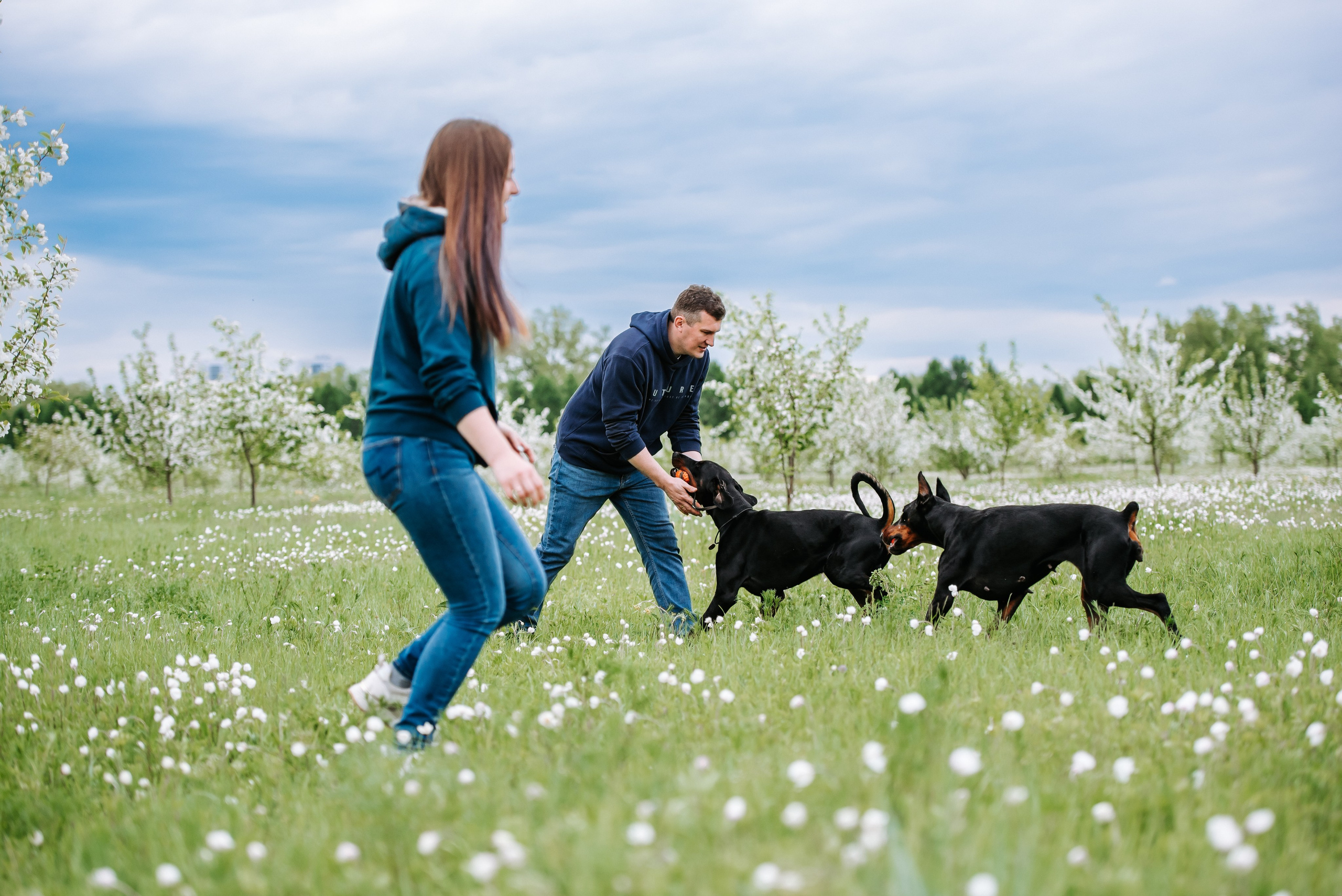 Цветение с доберманами. Фотограф Диана Оленина Красноярск / Братск