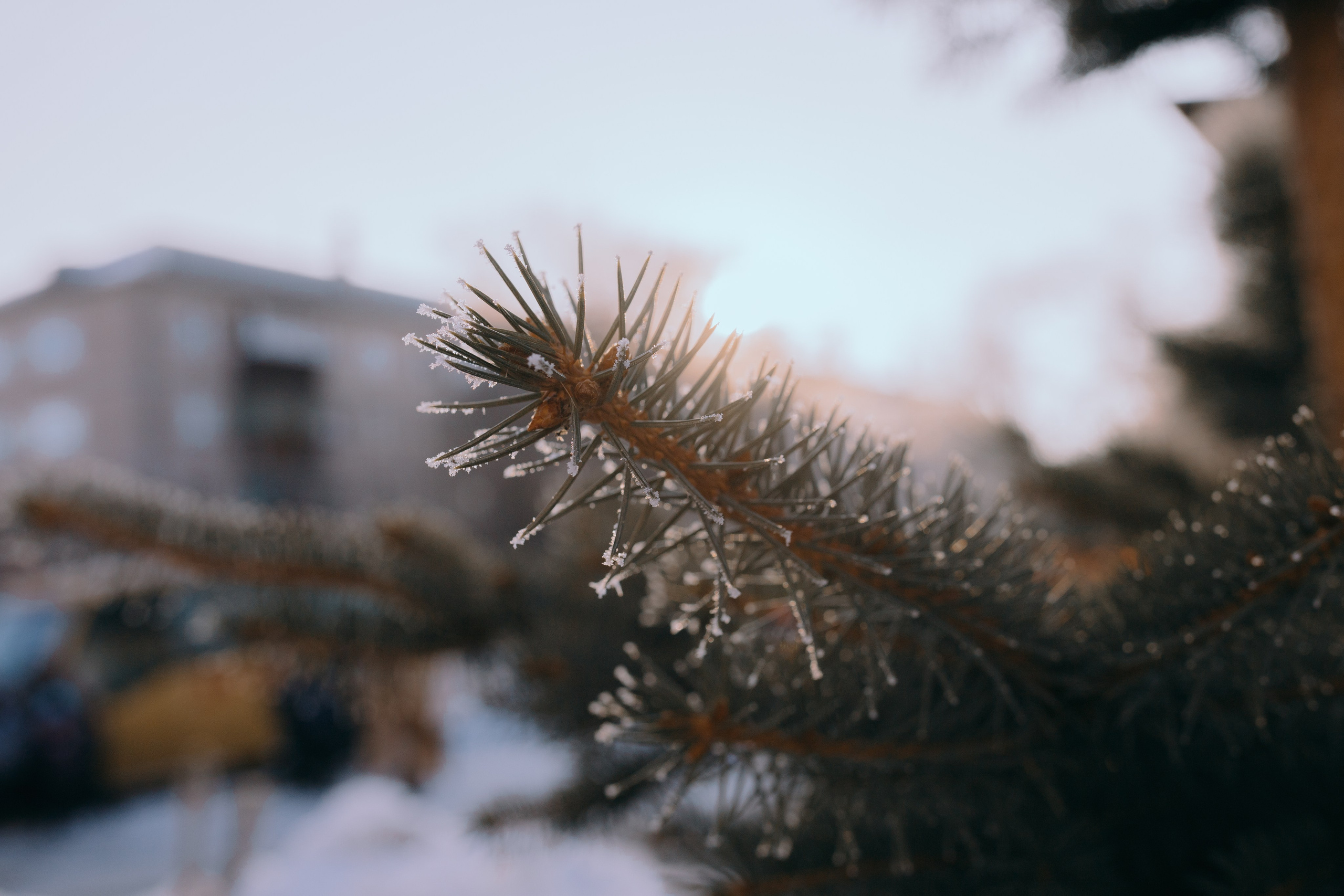 Зарница. Школа-интернат 5 // 24.11.2024. Денис Прохоров Фотограф в г. Магнитогорск