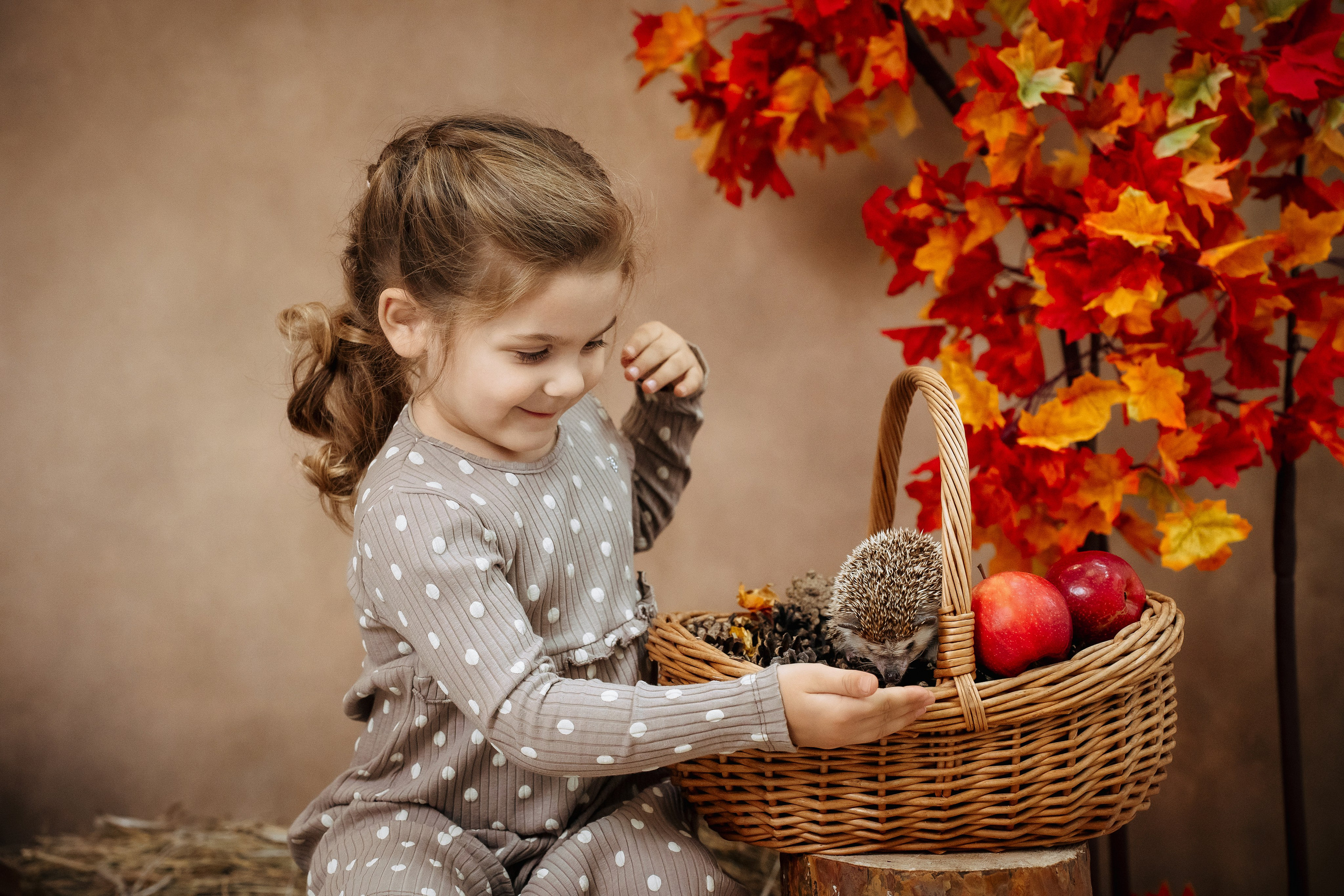 Ёжик. Фотограф Казакова Анастасия