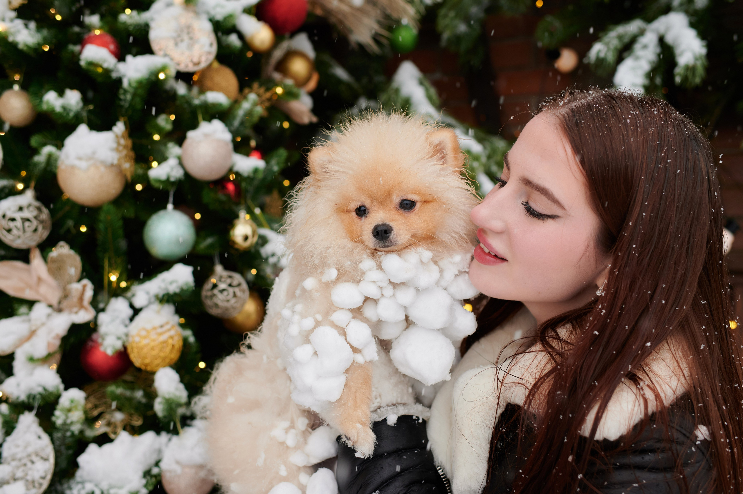 Александра и Егор. Портретный, семейный и свадебный фотограф в Санкт-Петербурге и в Москве Ширяев Денис