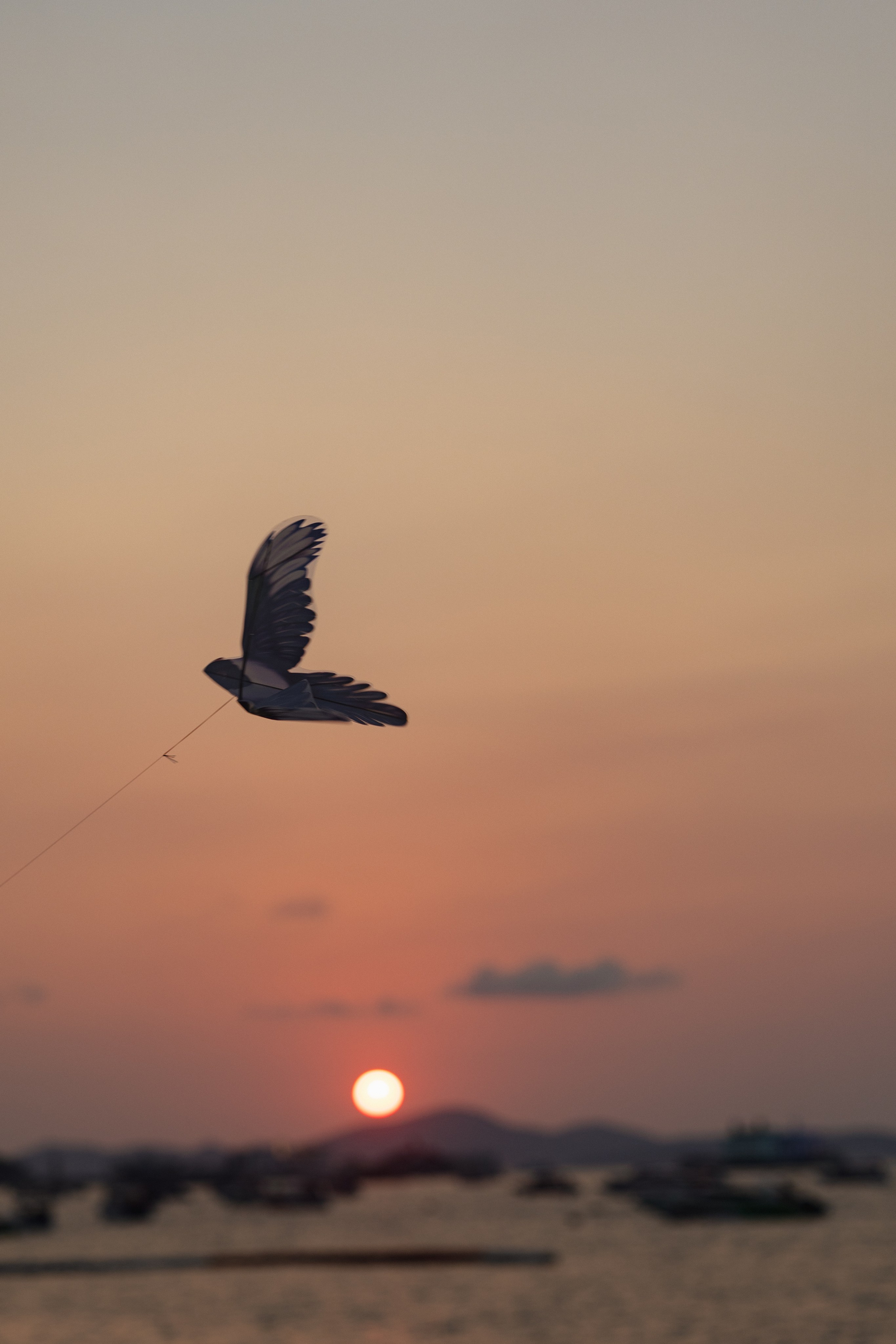 PATTAYA INTERNATIONAL KITE ON THE BEACH 2024. Photographer Sonkina Tatiana (Tanya Ash)