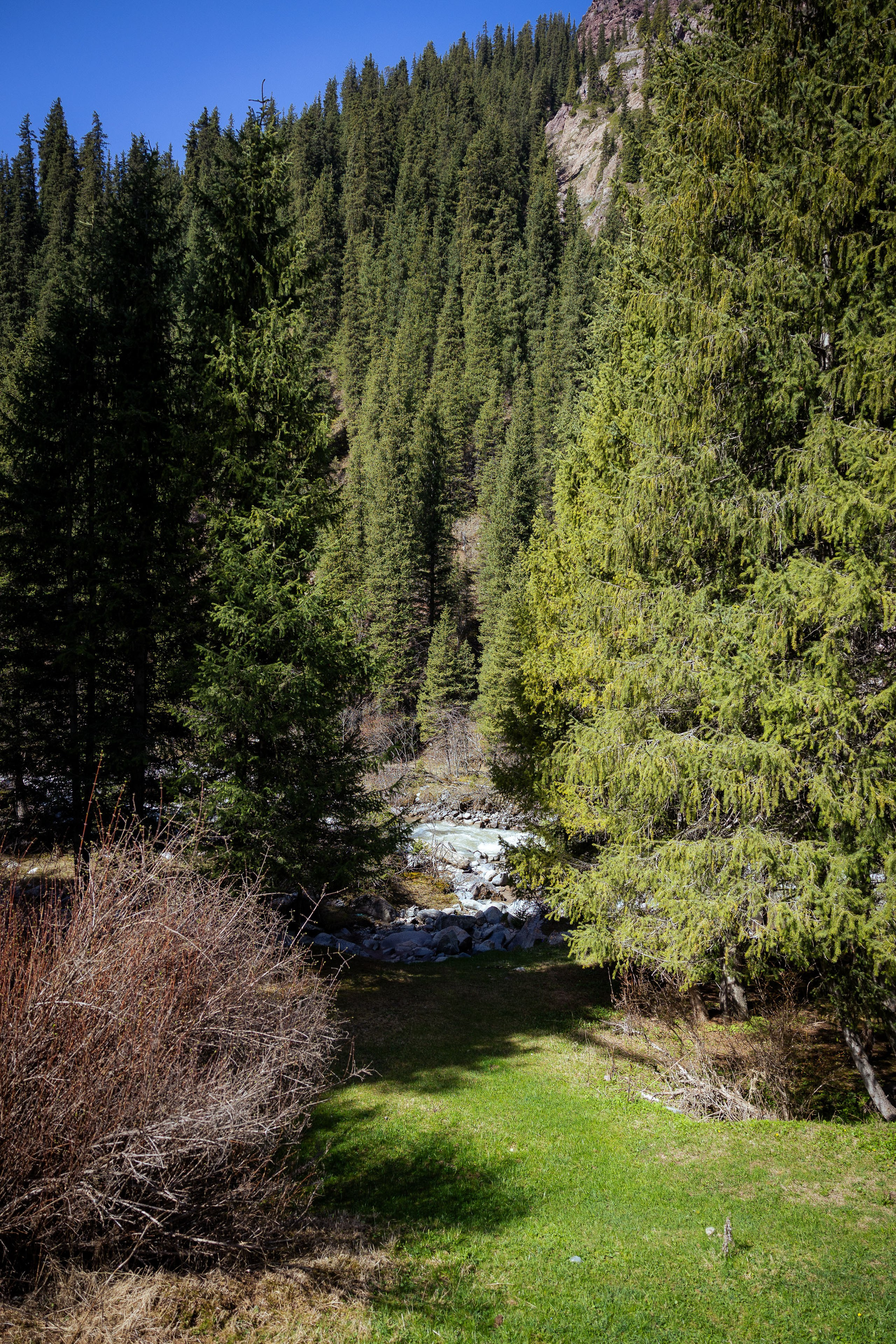 Кыргызстан (весна 2025). Фотограф Виноградов Константин