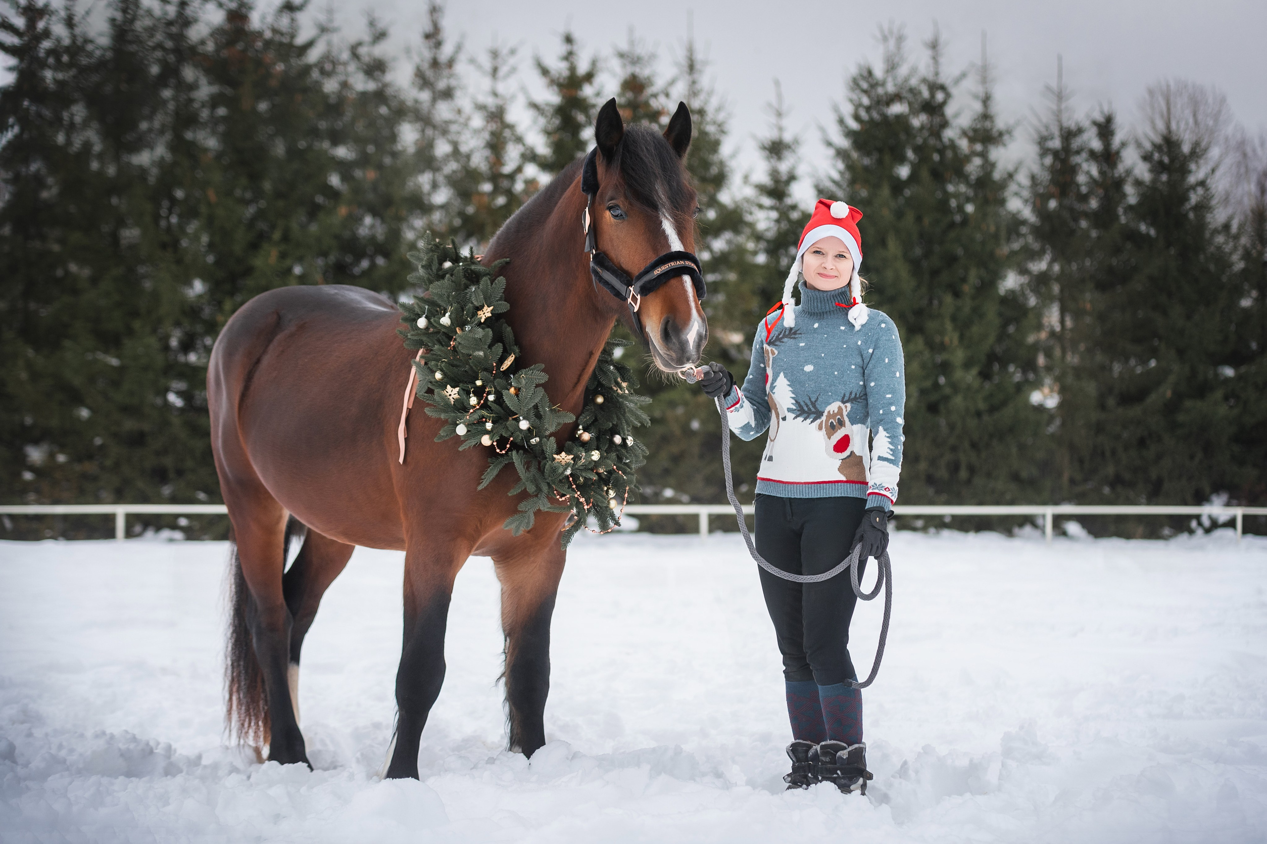 Новогодний Волконский. Конный фотограф Куракина Дарья • Фотосессии с лошадьми