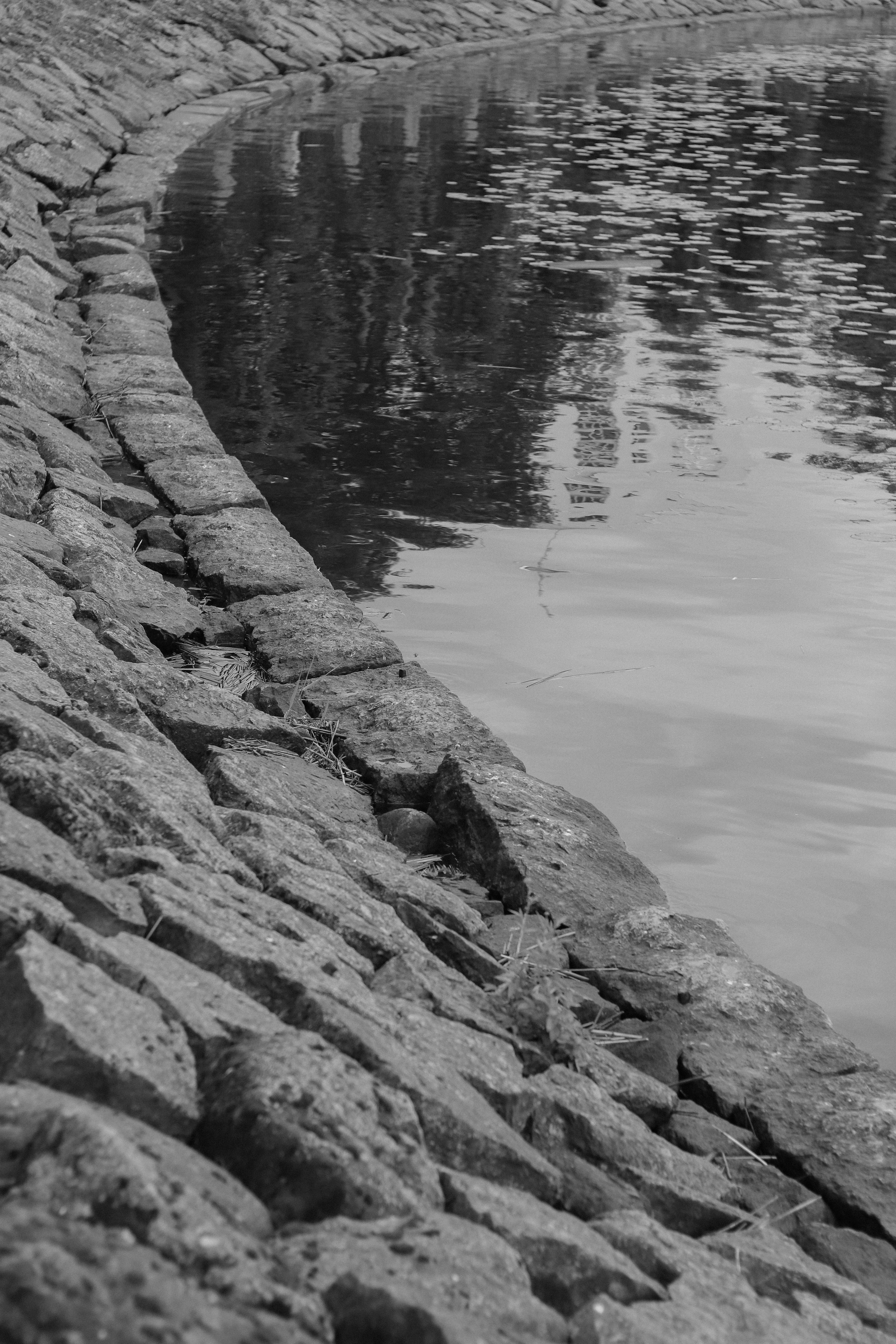 Contour. Фотограф и исследователь фотографии из Санкт-Петербурга Елизавета Веприцкая