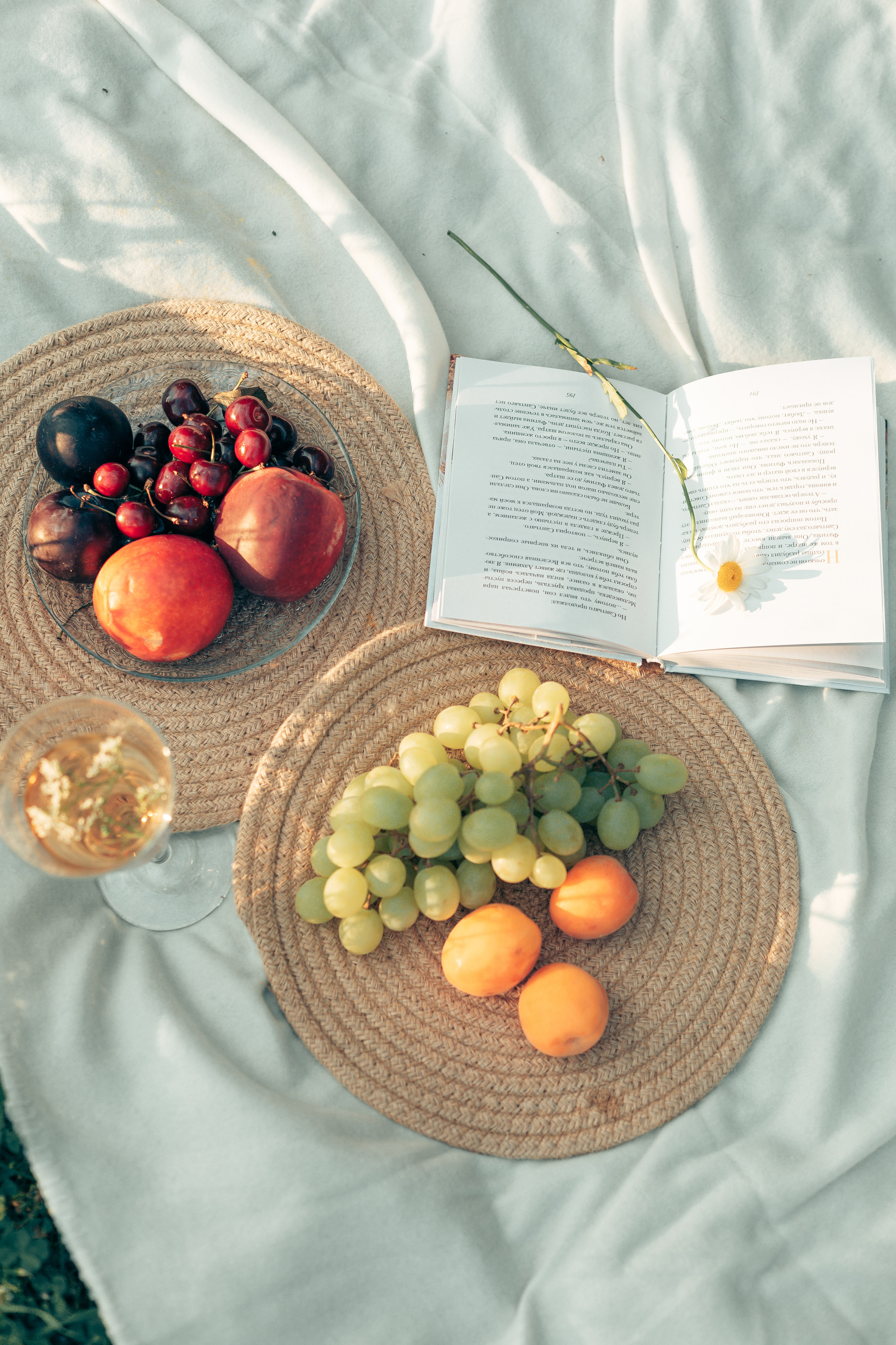 Летний пикник. Фотограф Петрозаводск