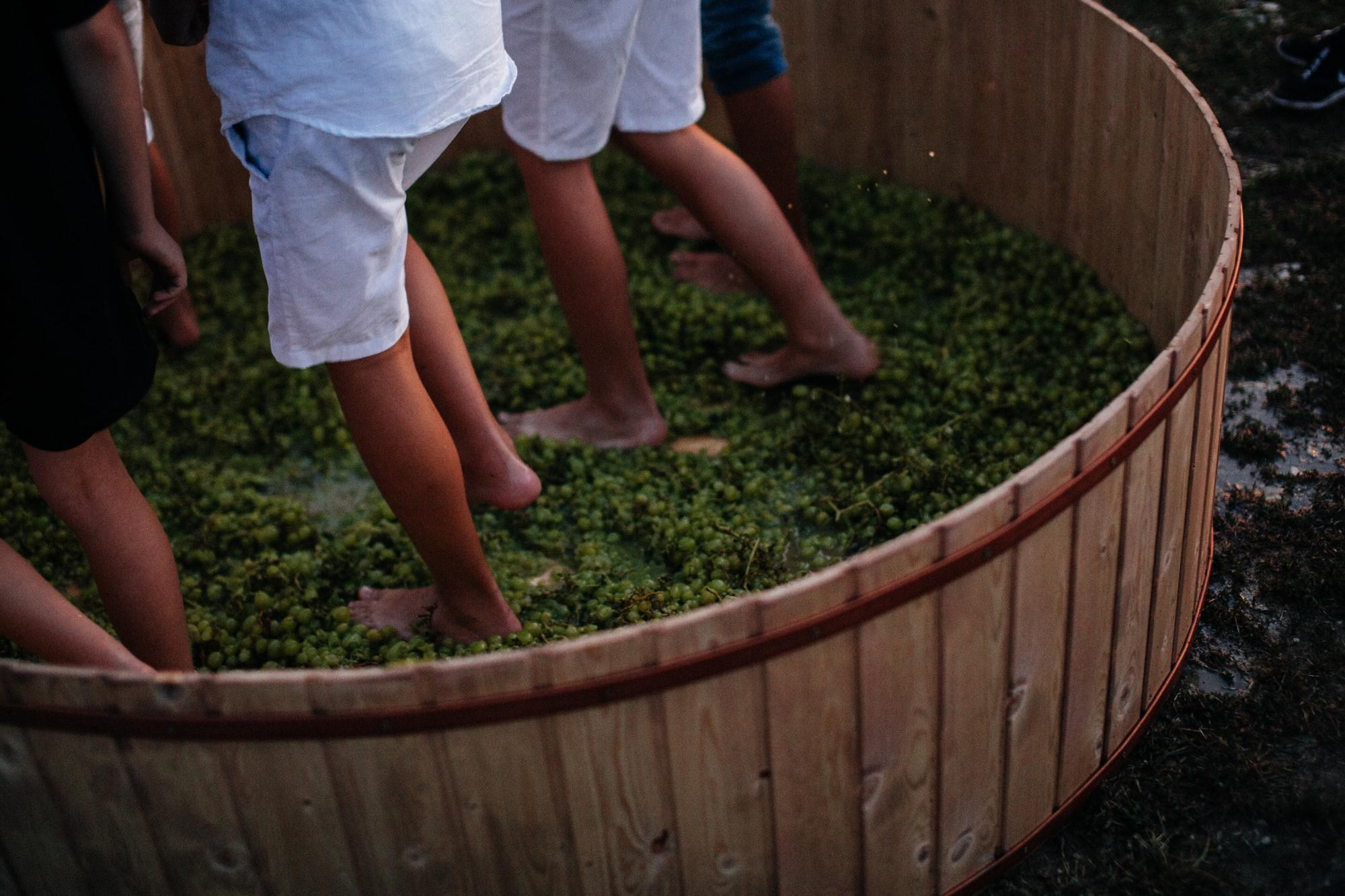 Репортажная фотосессия в Шато де Талю. Свадебный, репортажный фотограф Дмитрий Макарченко