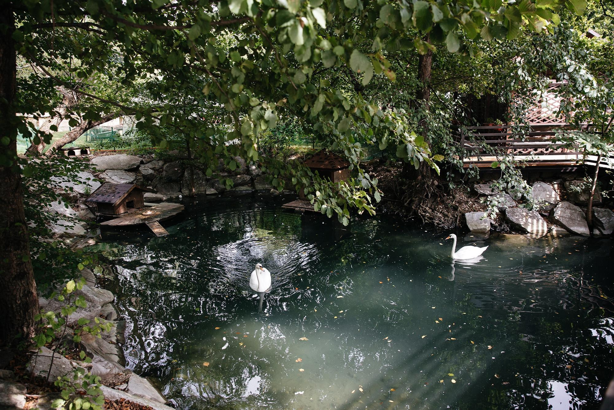 Свадебная фотосессия родителей в Геленджике. Свадебный, репортажный фотограф Дмитрий Макарченко