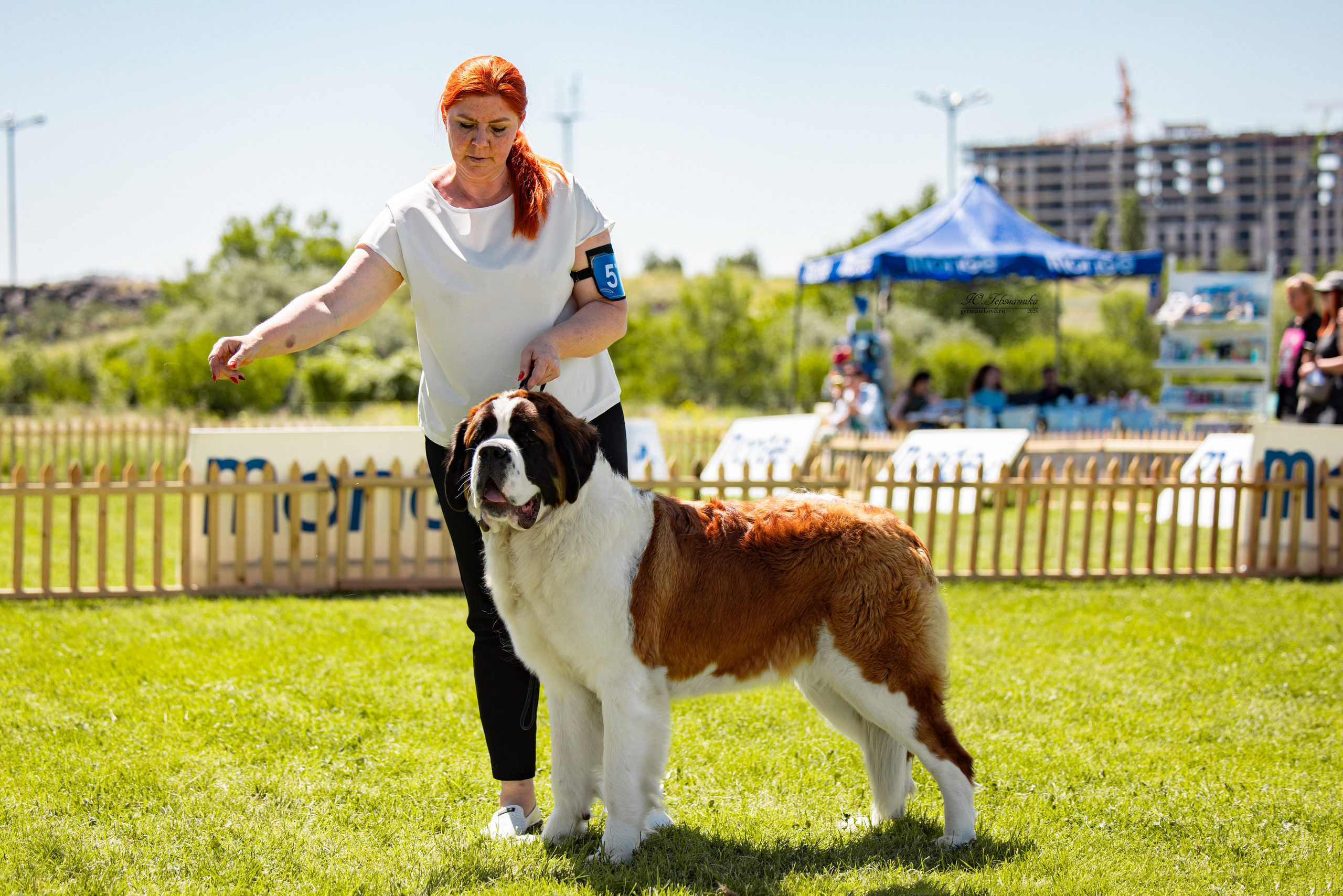 Ереван 3-5.06.2024. Фотограф-анималист Юлия Германика