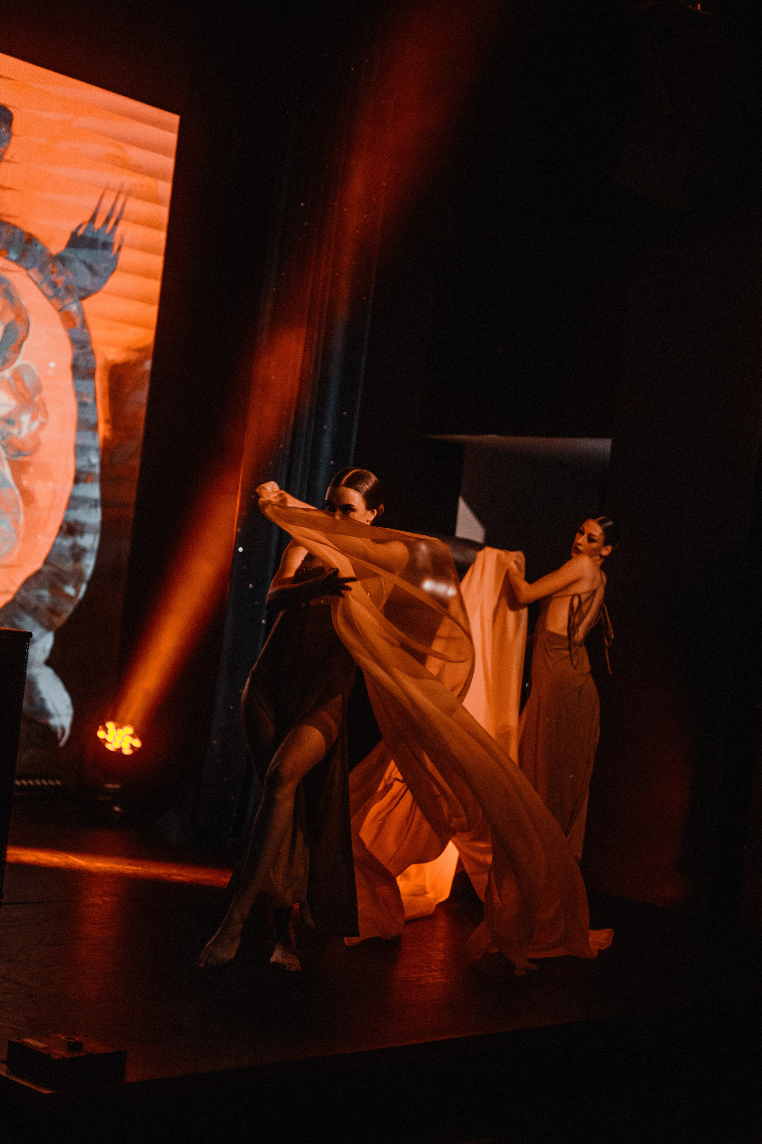 КОНЦЕРТЫ И ШОУ. Фотограф Владивосток Ян Паклин