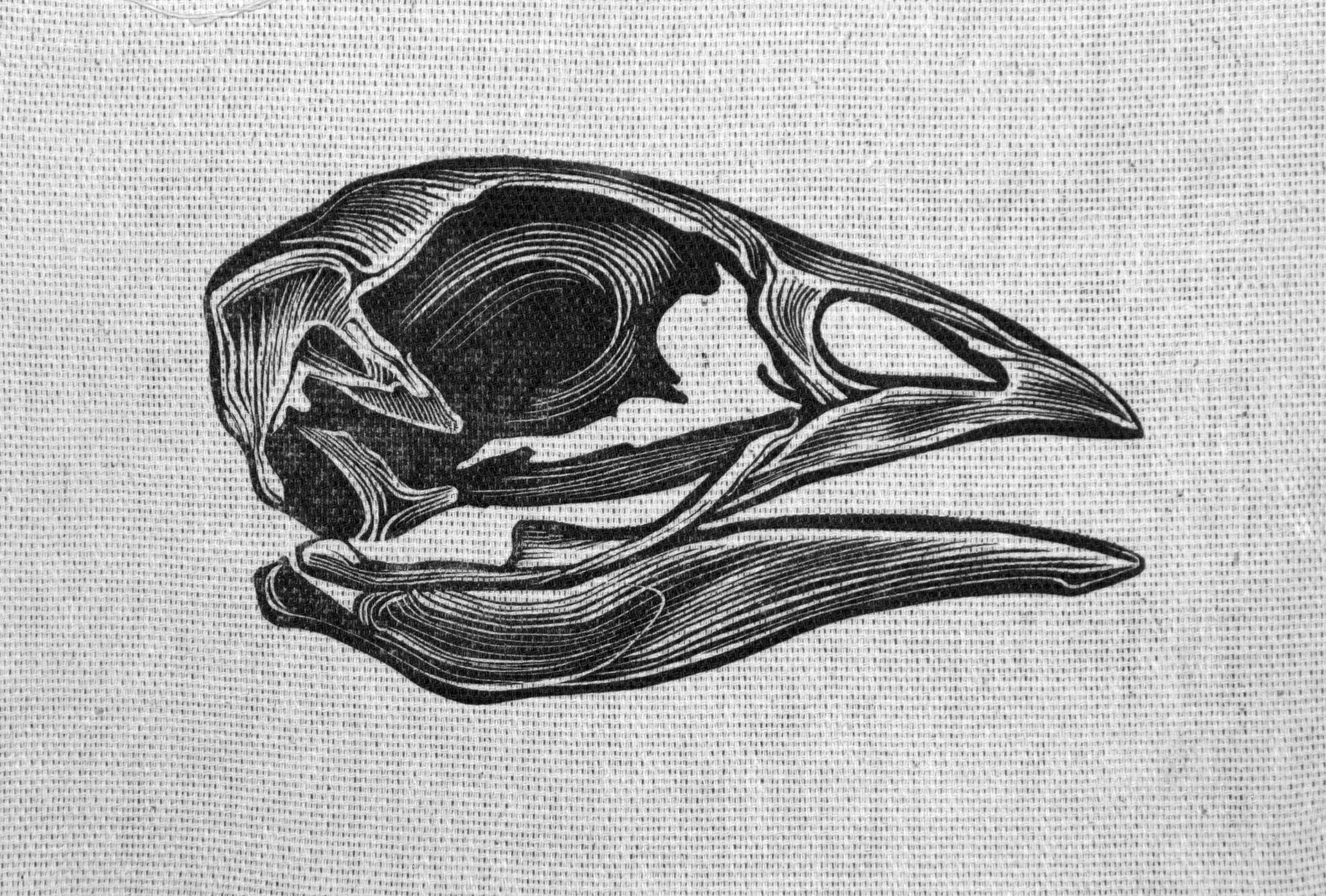 Птички. Фотографии Юлия Стремского