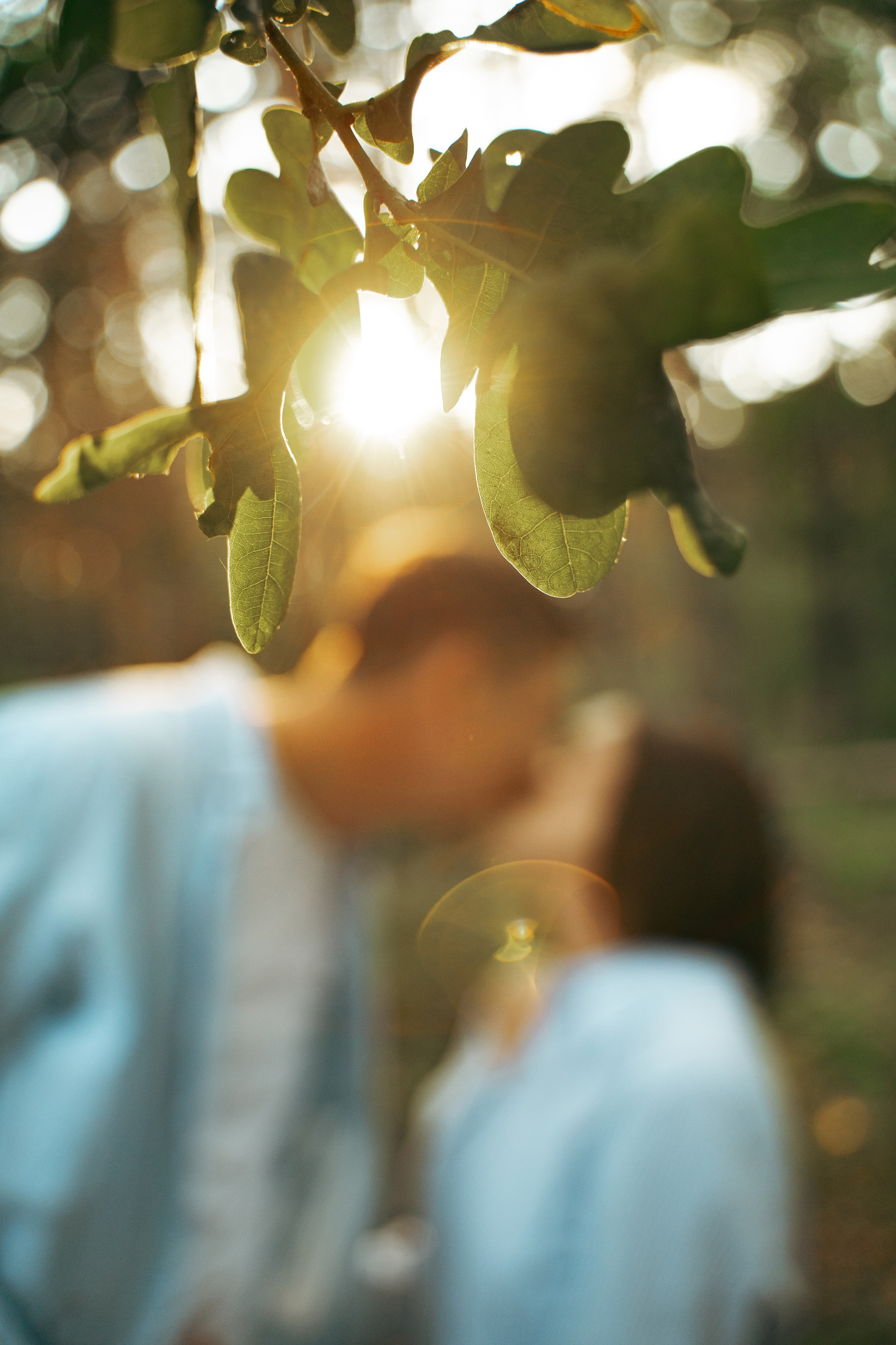 Лес. Фотограф Мария Зайчик