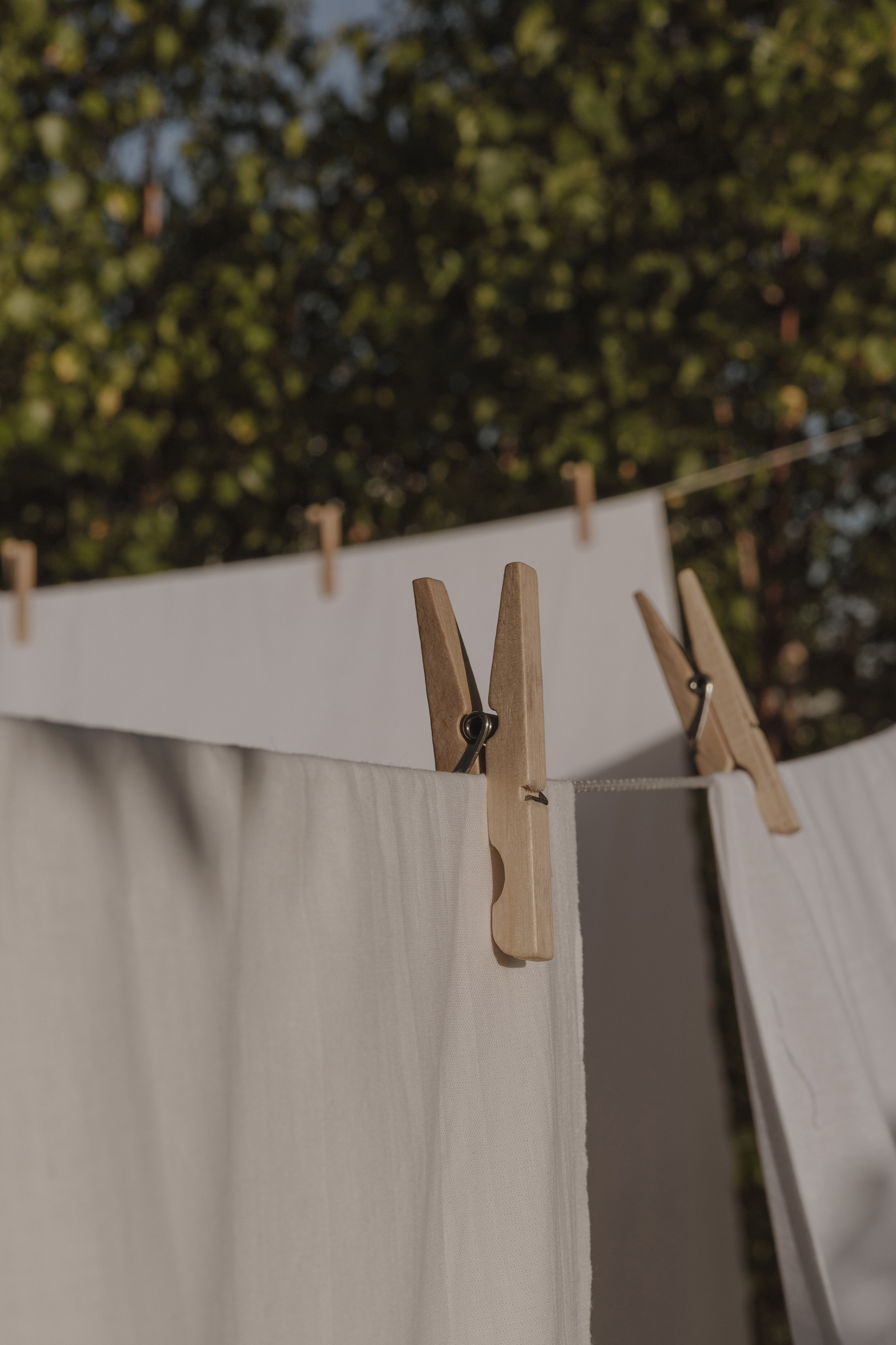 Анастасия. Фотограф в Москве Таша Логинова