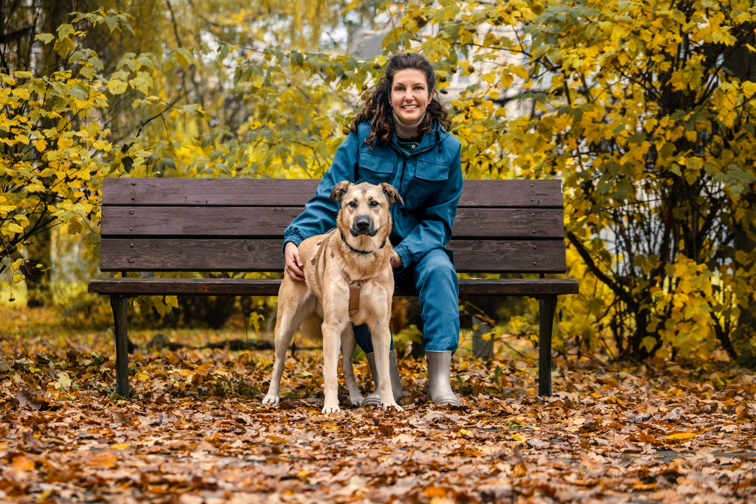 Собаки из приюта Дубовая роща осень 2025. Фотограф-анималист Татьяна Степанова