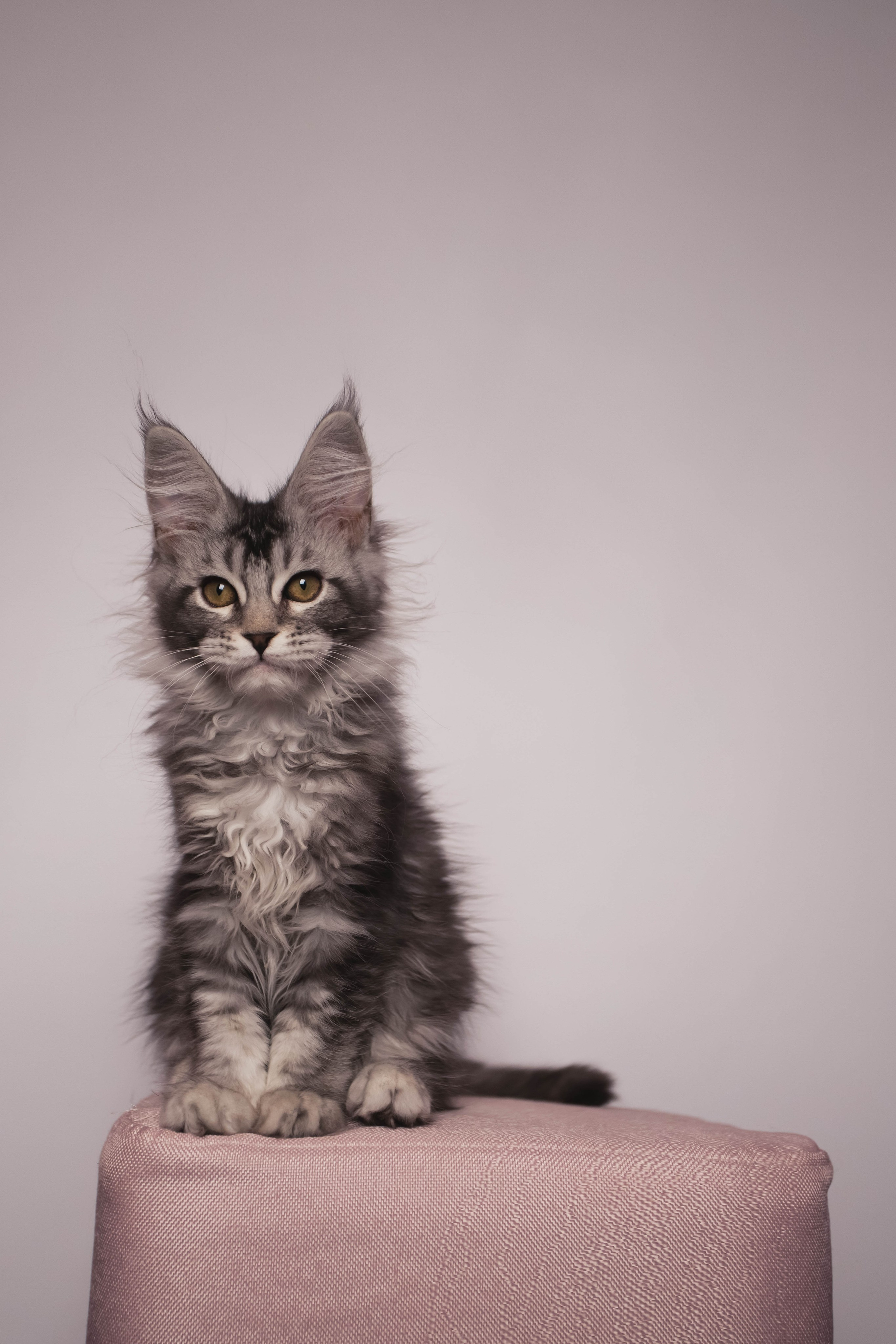 HanFors. Женский и предметный фотограф