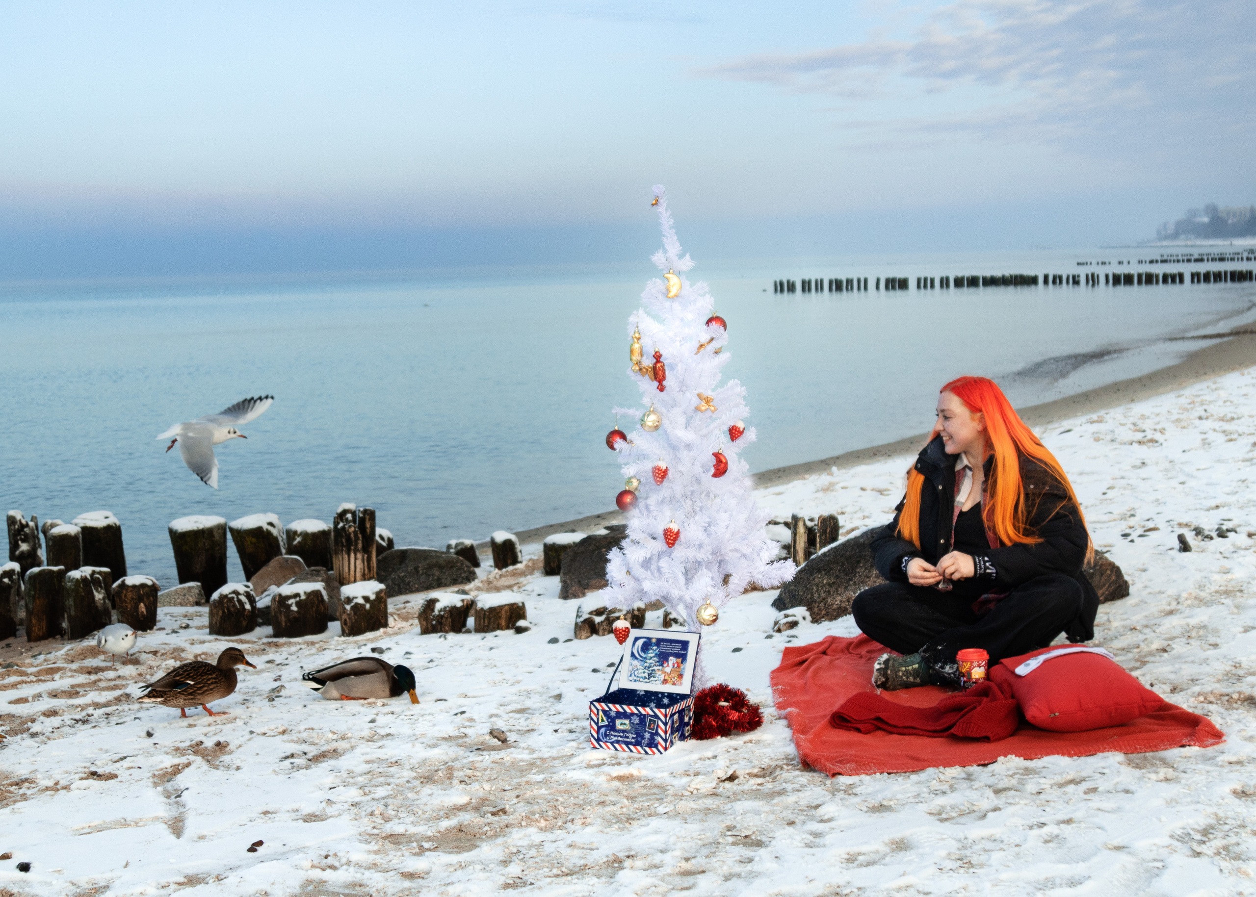 девушка с красными волосами сидит на красном пледе на берегу моря, рядом стоит елка, а девушка кормит чаек