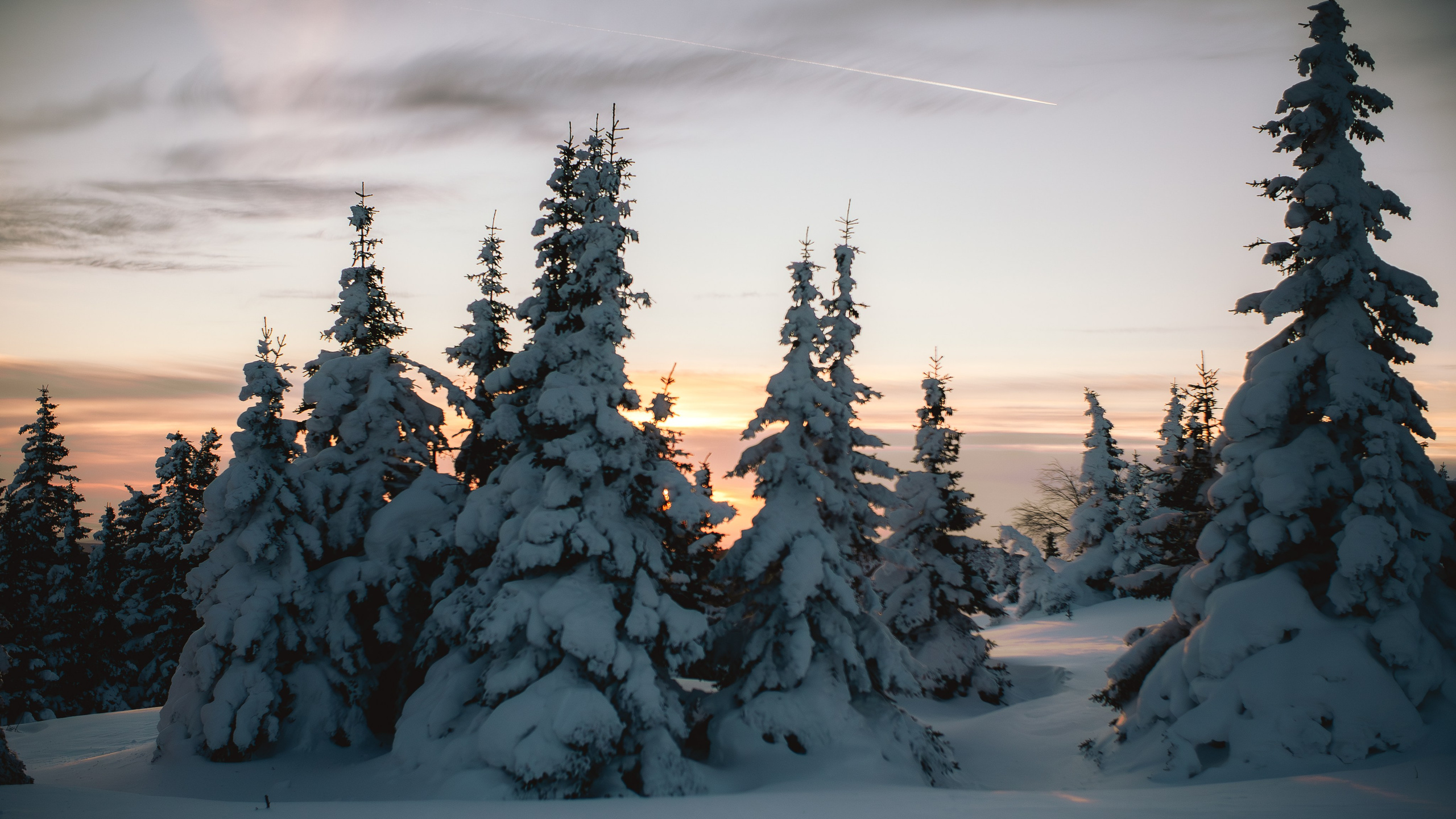 Фотографии из путешествий. NECULTURED PHOTOGRAPHER