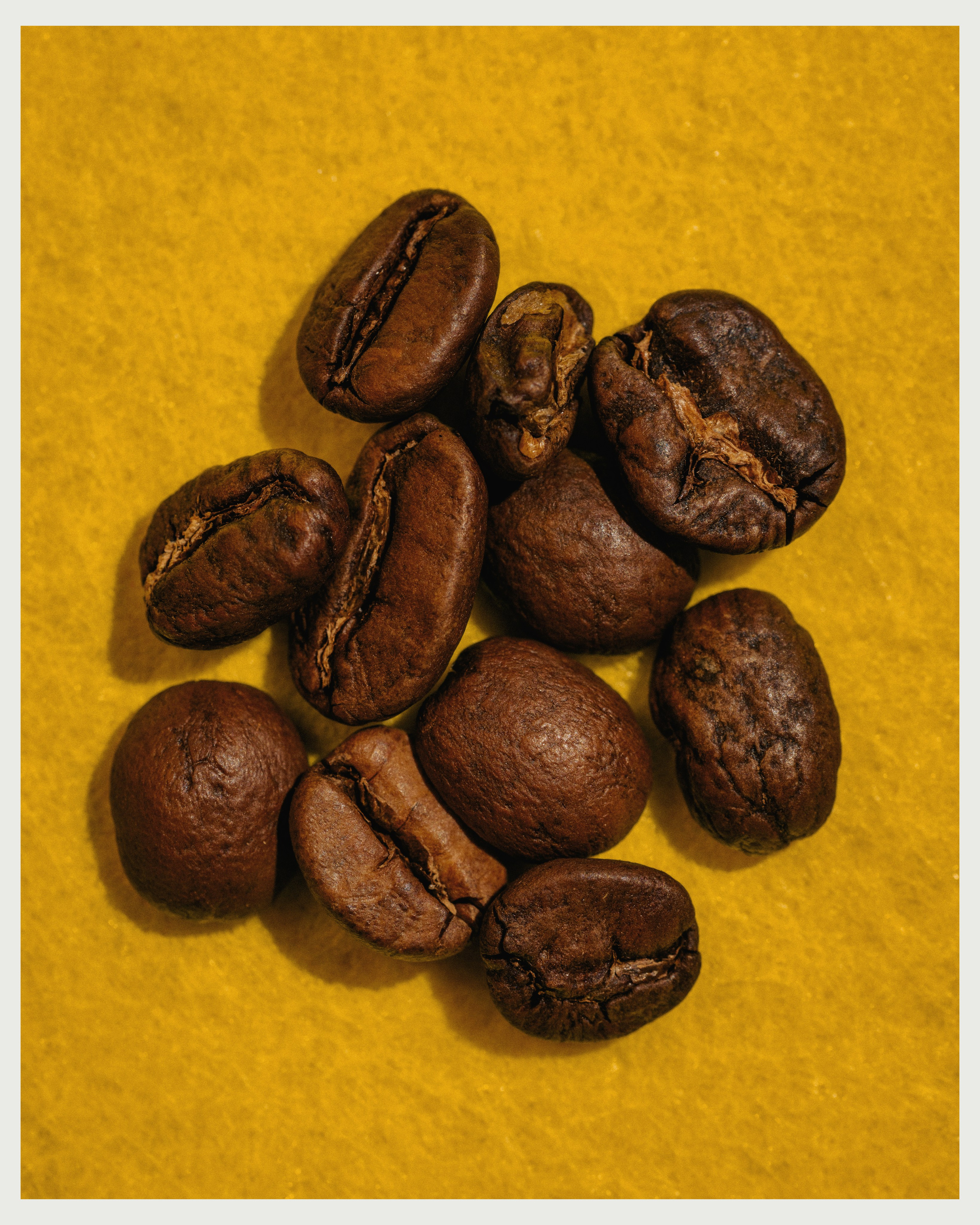 OM x VANO. Ivan Petrov photographer