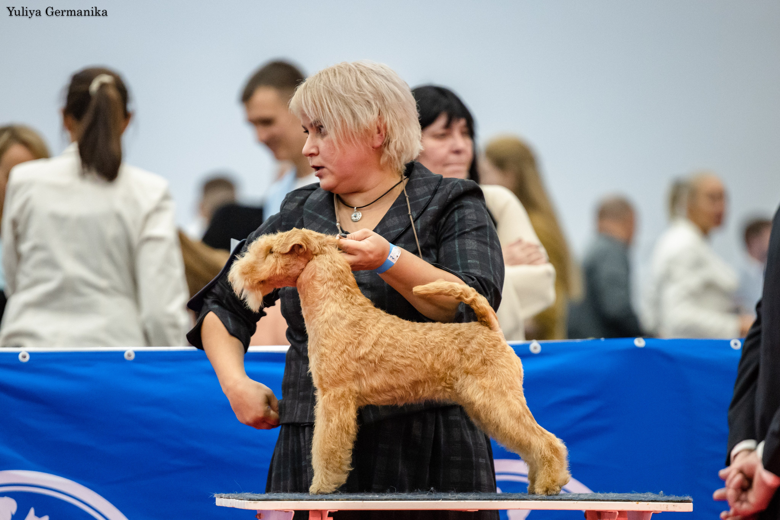 Нижний Новгород 21-22.10.2023. Фотограф-анималист Юлия Германика