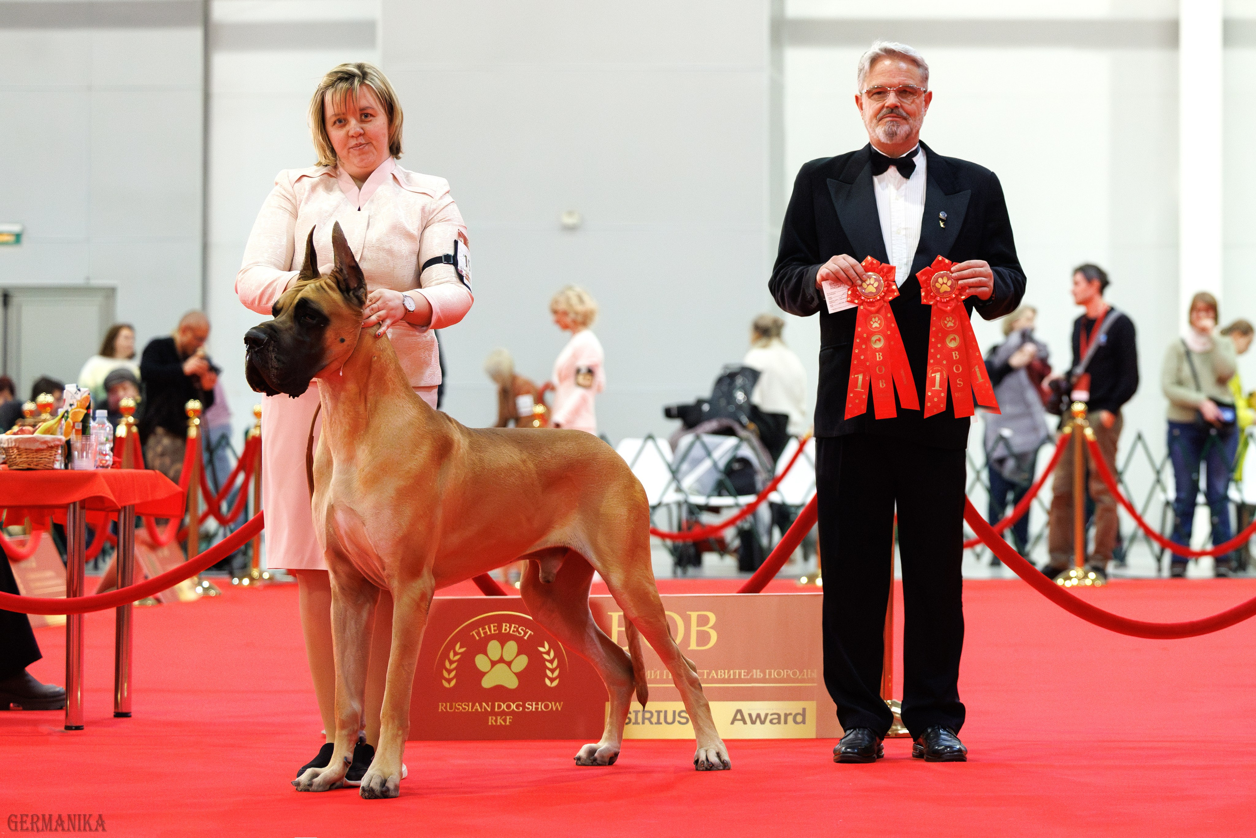 Лучшие Собаки России 17-18.02.2024. Фотограф-анималист Юлия Германика