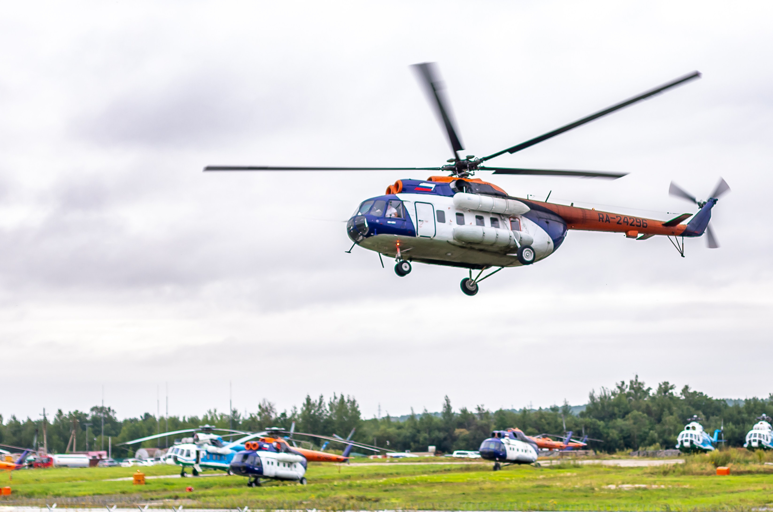 Споттинг 2024. Семейный и детский фотограф в Хабаровске Алевтина Проскурякова