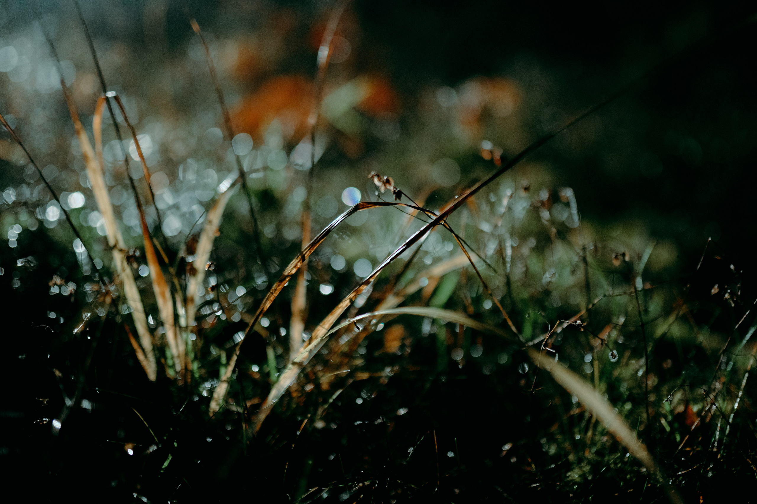 Loweliness. Backstage. @tomrus: Рустам Шагиморданов — фотограф