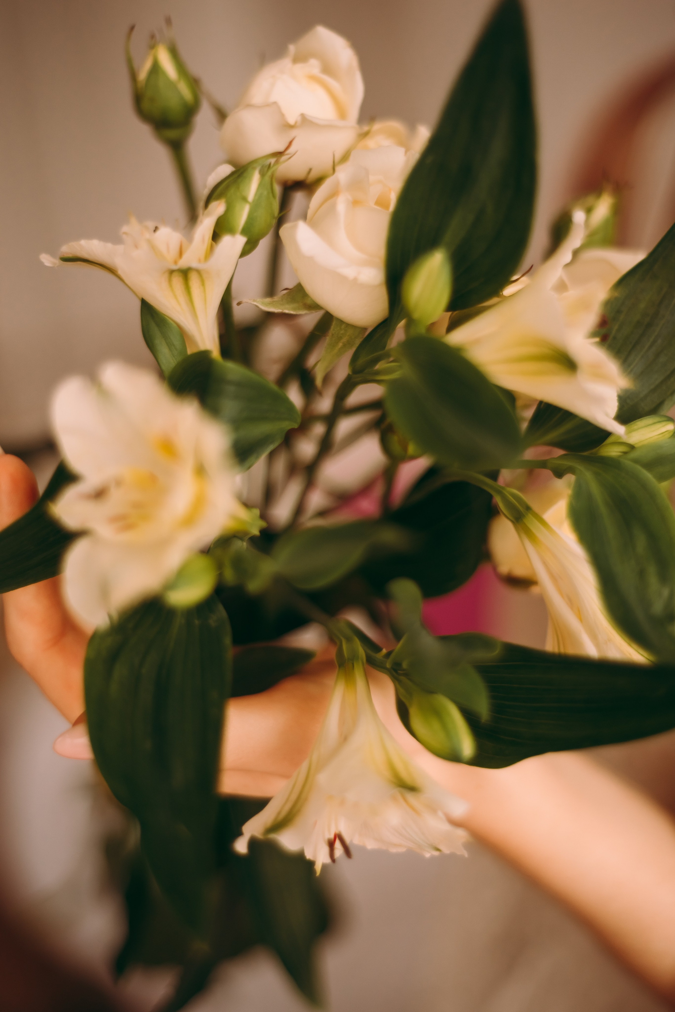 К 8 марта. Семейный и женский фотограф Лоо Краснодар Сочи Энем Татьяна Трибурт