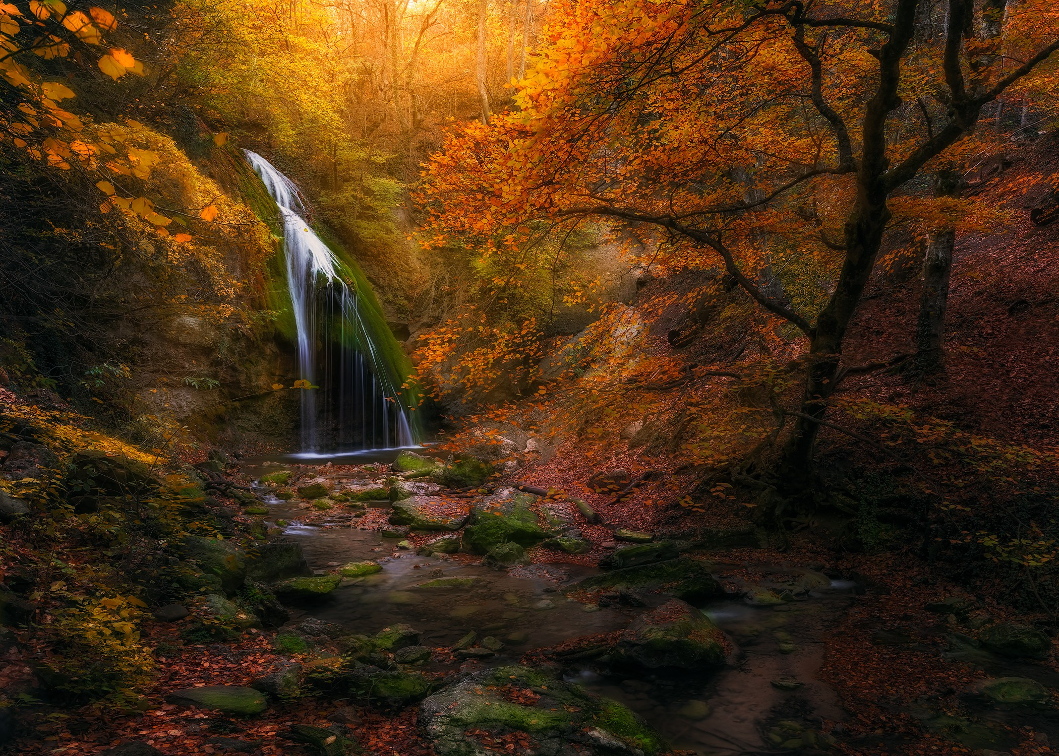 Volkovart.ru forest landscapes. Volkovart.online nature photography