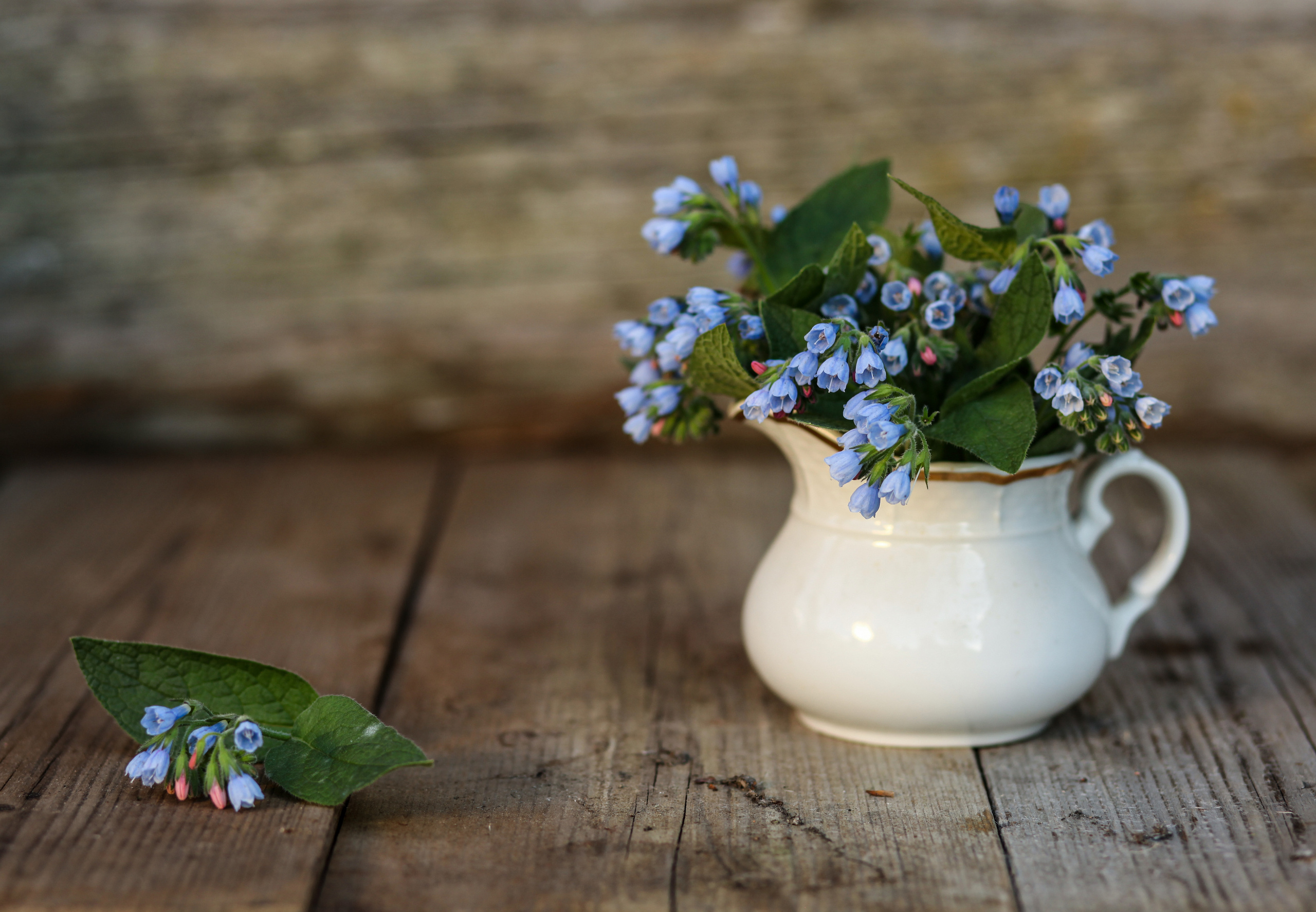 Предметная фотосъемка, съемка для маркетплейсов. Семейный и детский фотограф в Волгограде Нина Колесова