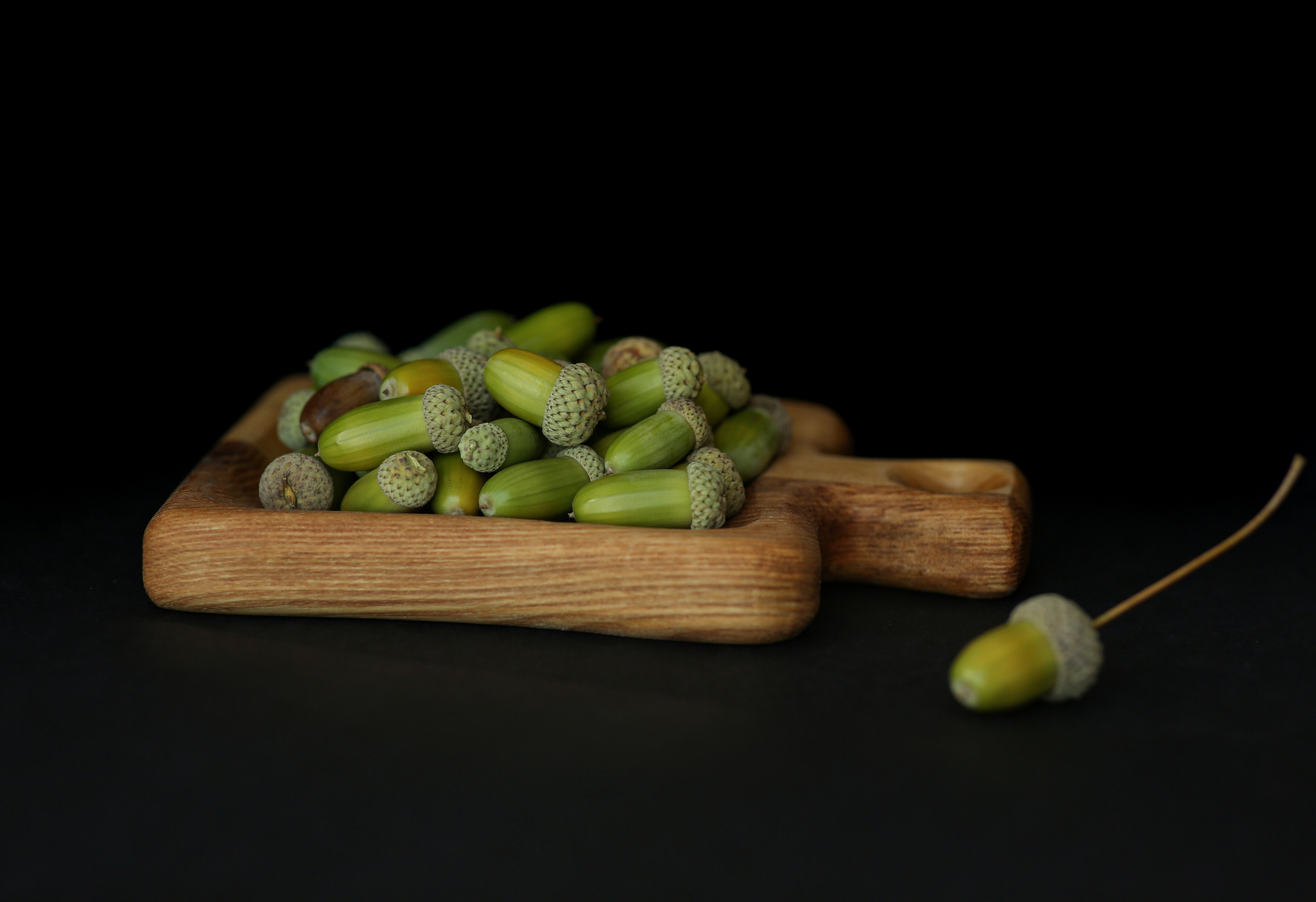 Предметная фотосъемка, съемка для маркетплейсов. Семейный и детский фотограф в Волгограде Нина Колесова